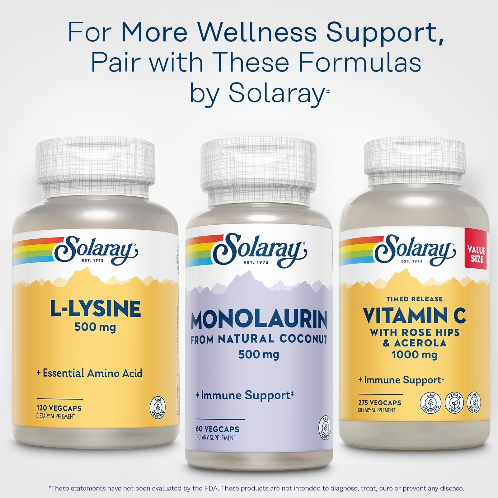12/28 SOLARAY L Lysine 500 mg Capsules – Free-Form Essential Amino Acids Supplem