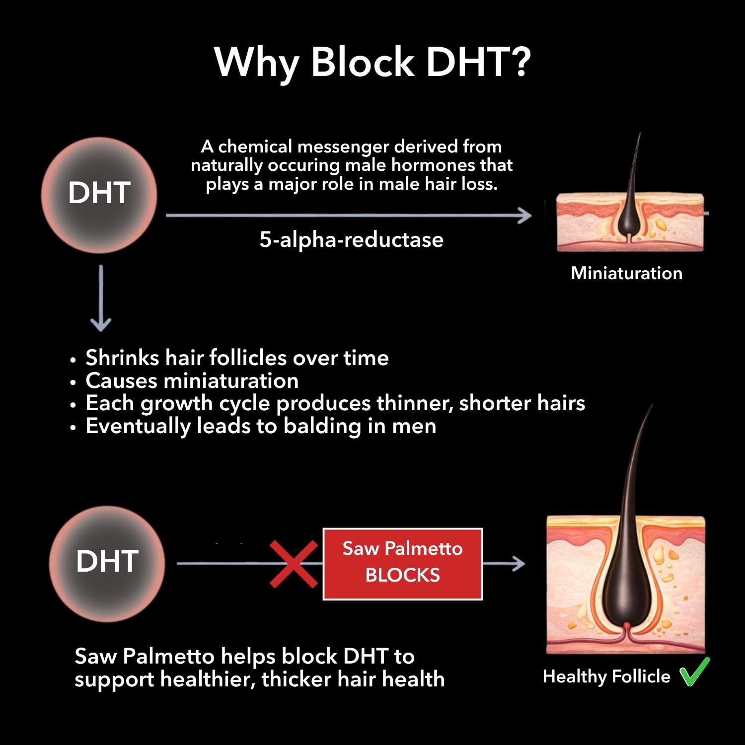 DHT Blocker for Men – Biotin 10000mcg, Saw Palmetto, MSM – Supports Hair Growth,