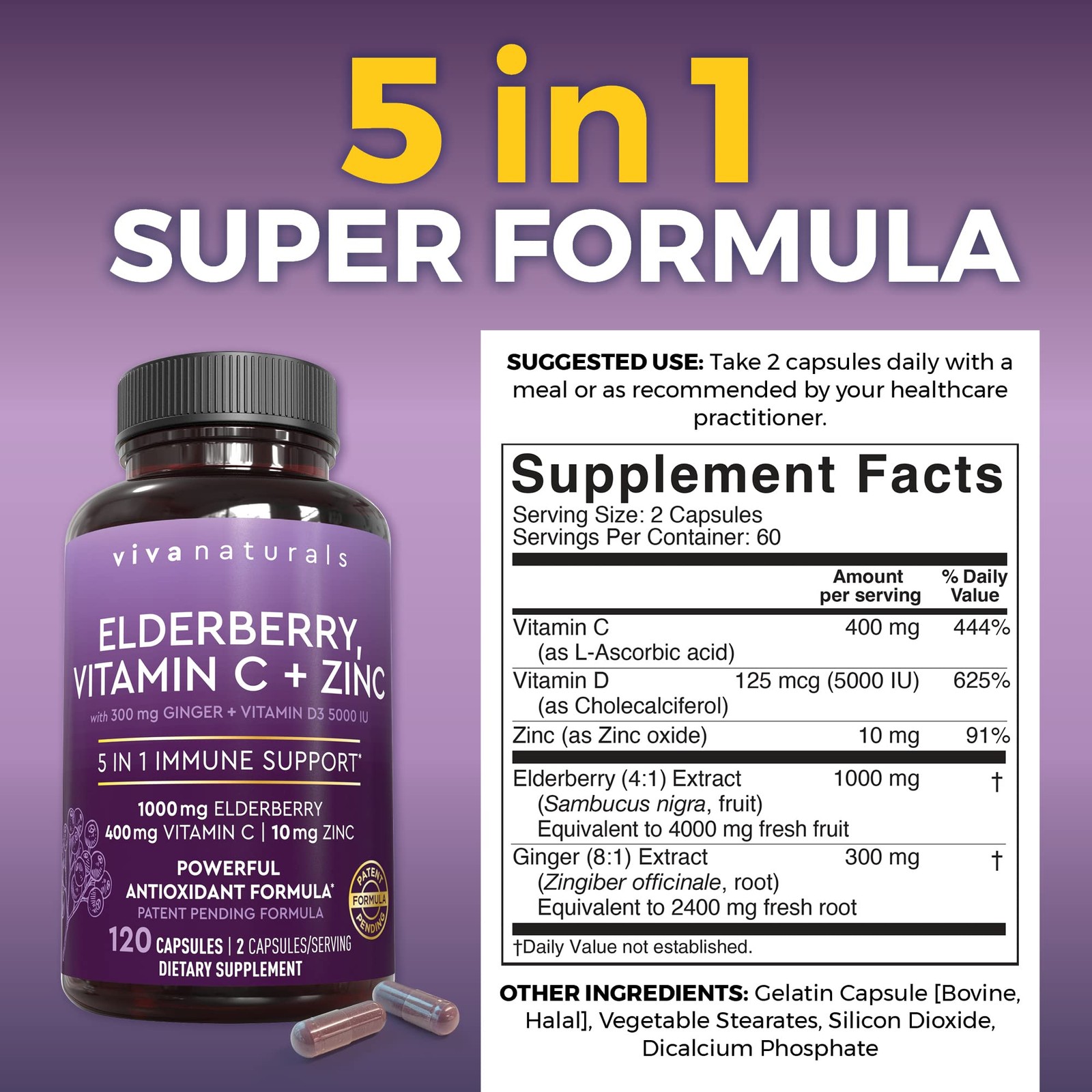Viva Naturals Elderberry with 120 Count (Pack of 1), 5in1 120ct