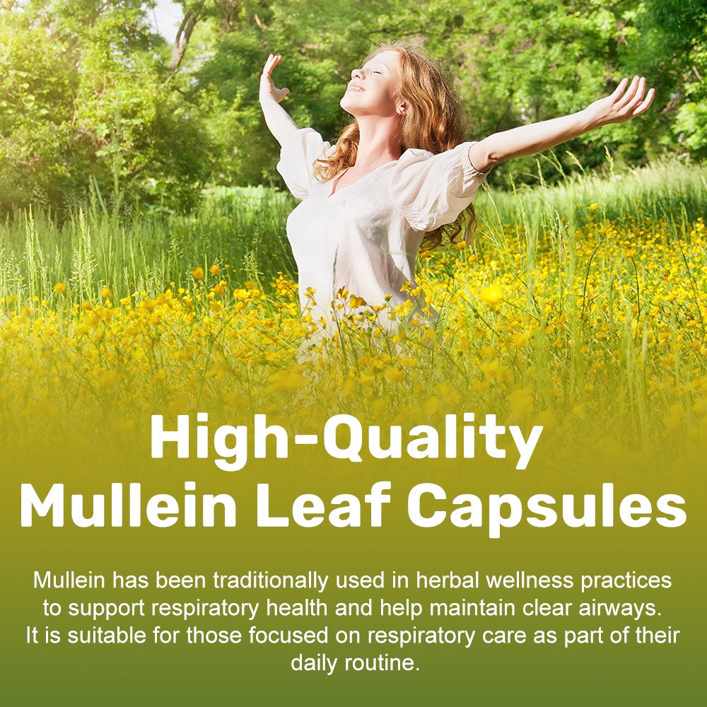 Mullein Leaf Capsules Extra Strength Support Respiratory Health Lung Detox 120Pc