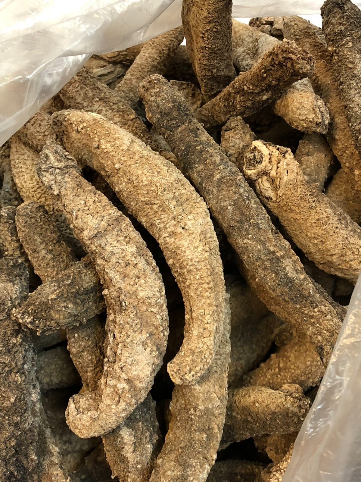阿拉斯加红参(海参)Super 3A natural Sun Dried ALASKA Red Sea Cucumber(Size XXL)1LB/Bag