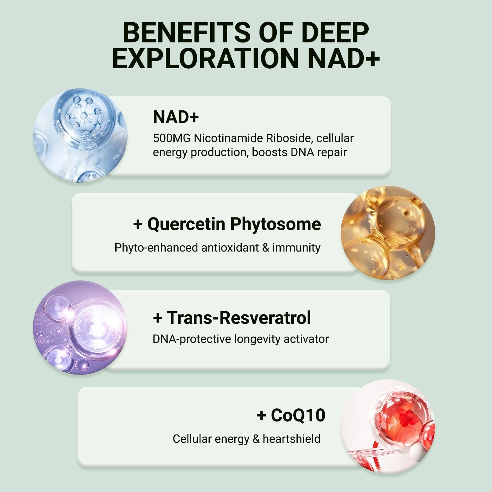 NAD+ Supplement, Liposomal NAD Nicotinamide Riboside Resveratrol 1500 mg – An…