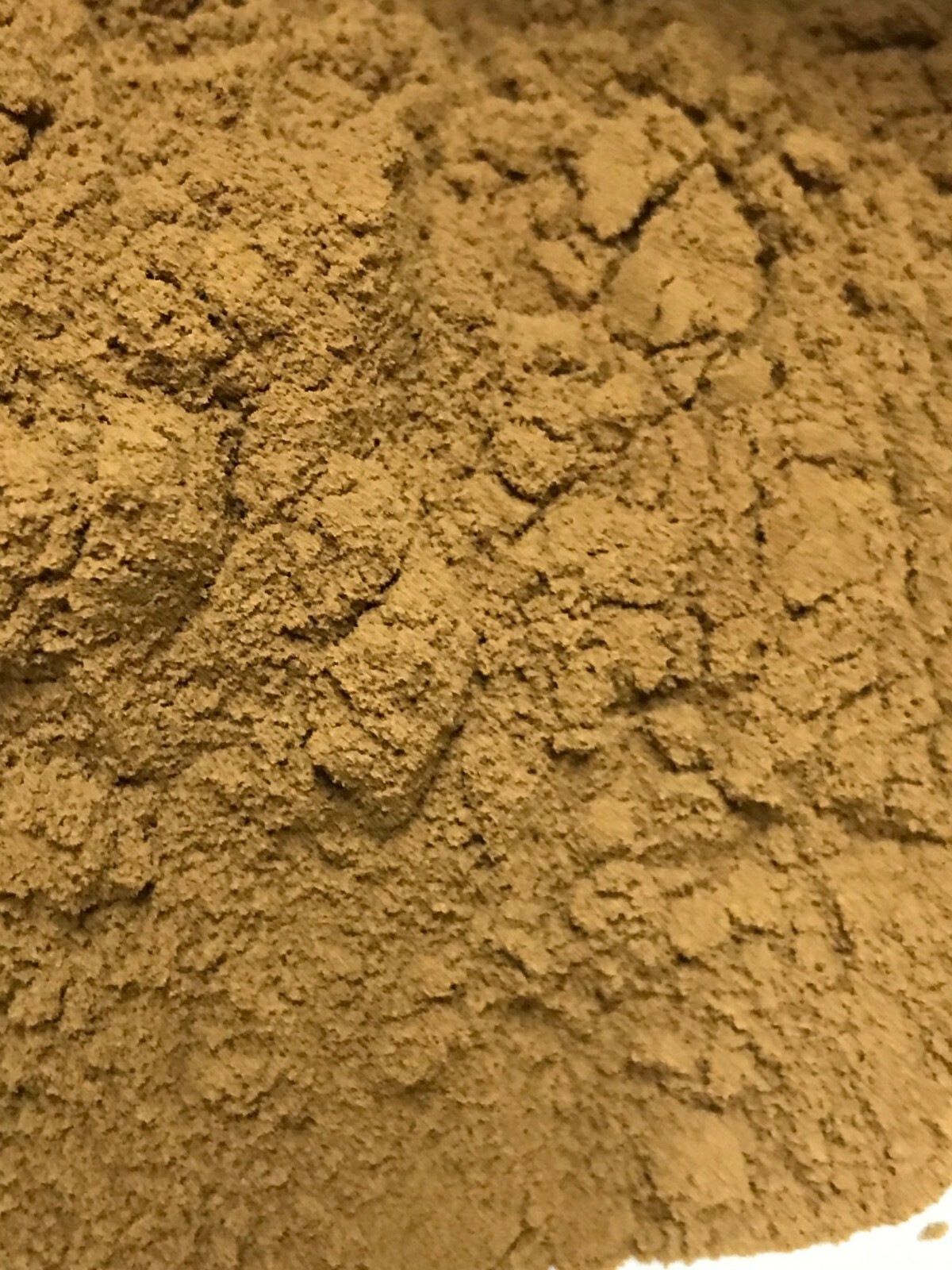 Artemisinin 20% Extract Powder-100gm-AUSSIE HERBALIST SELLER