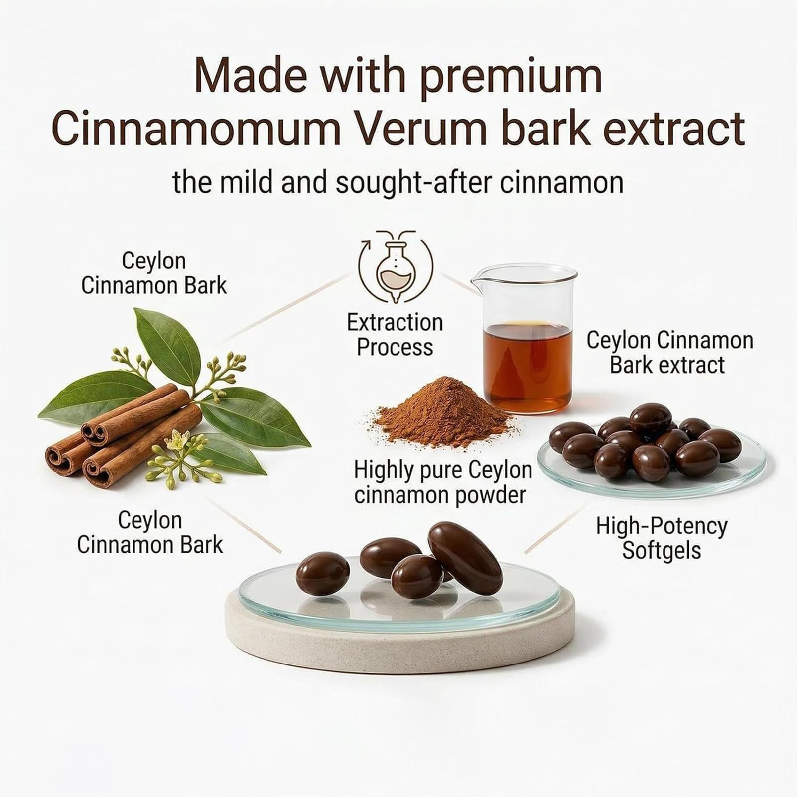 Elorita Ceylon Cinnamon – Softgels 300 Softgels – Non-GMO, Gluten Free Supplemen