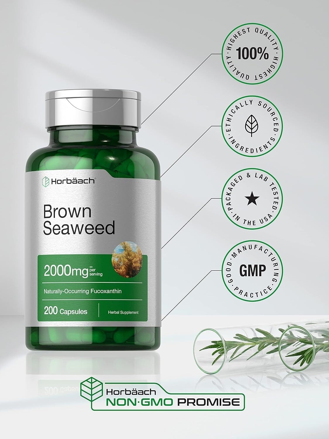 Brown Seaweed Extract 2000 Mg Fucoxanthin Supplement Marine Algae, 200 Capsules