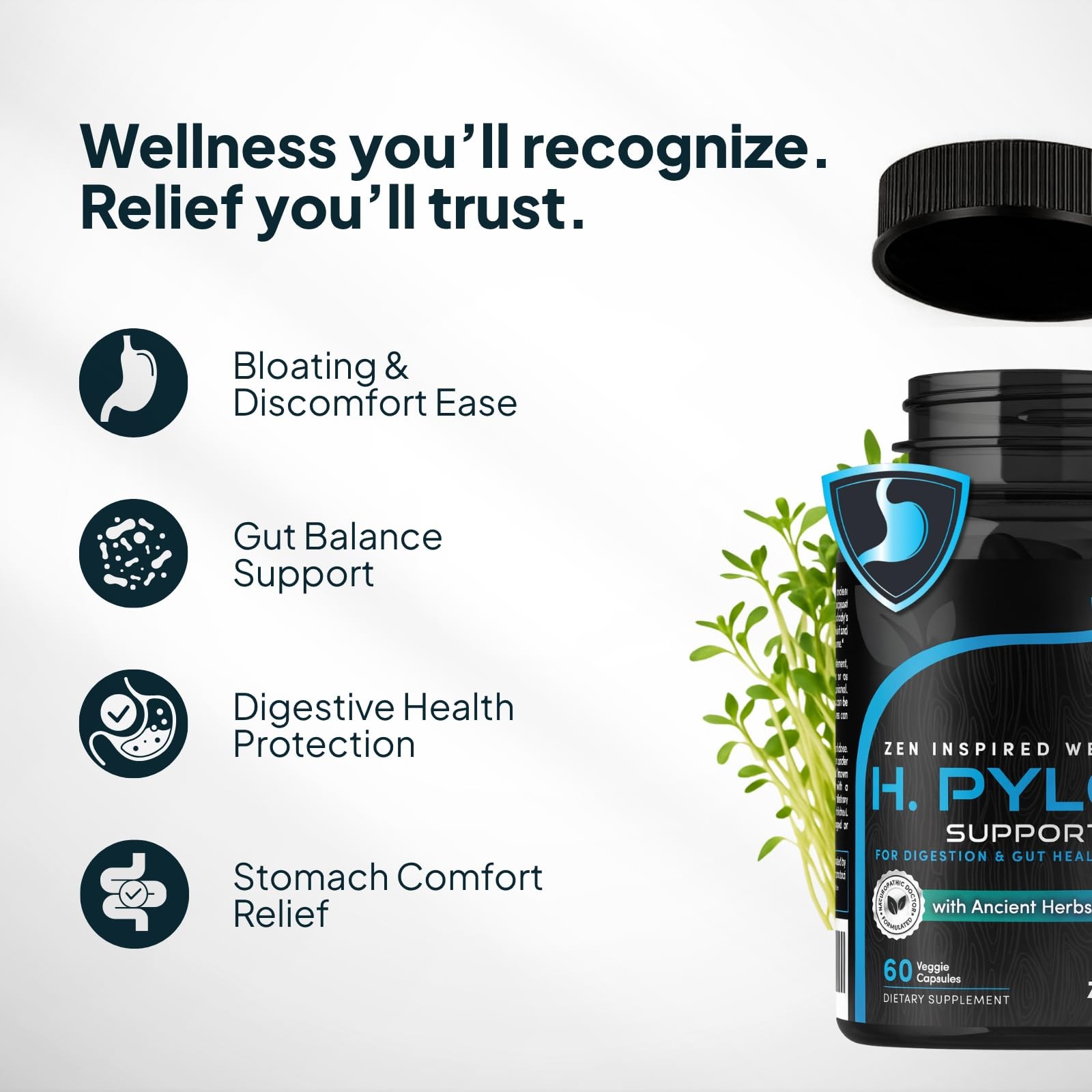 H. Pylori Support | Lactobacillus Reuteri Probiotic with Mastic Gum for Diges…