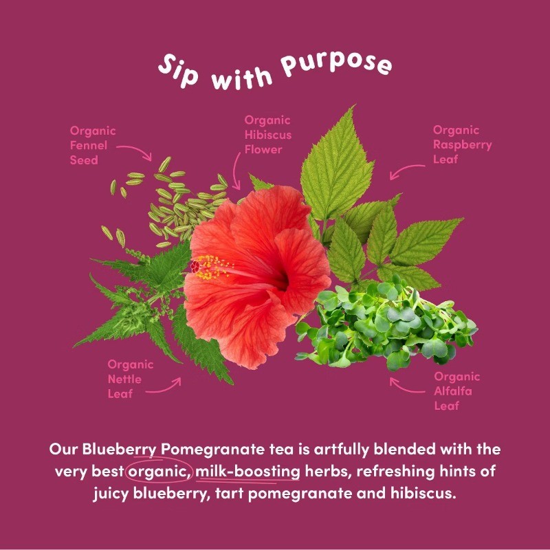 Lactation Blend Blueberry Pomegranate Bagged Teas – 28 Servings