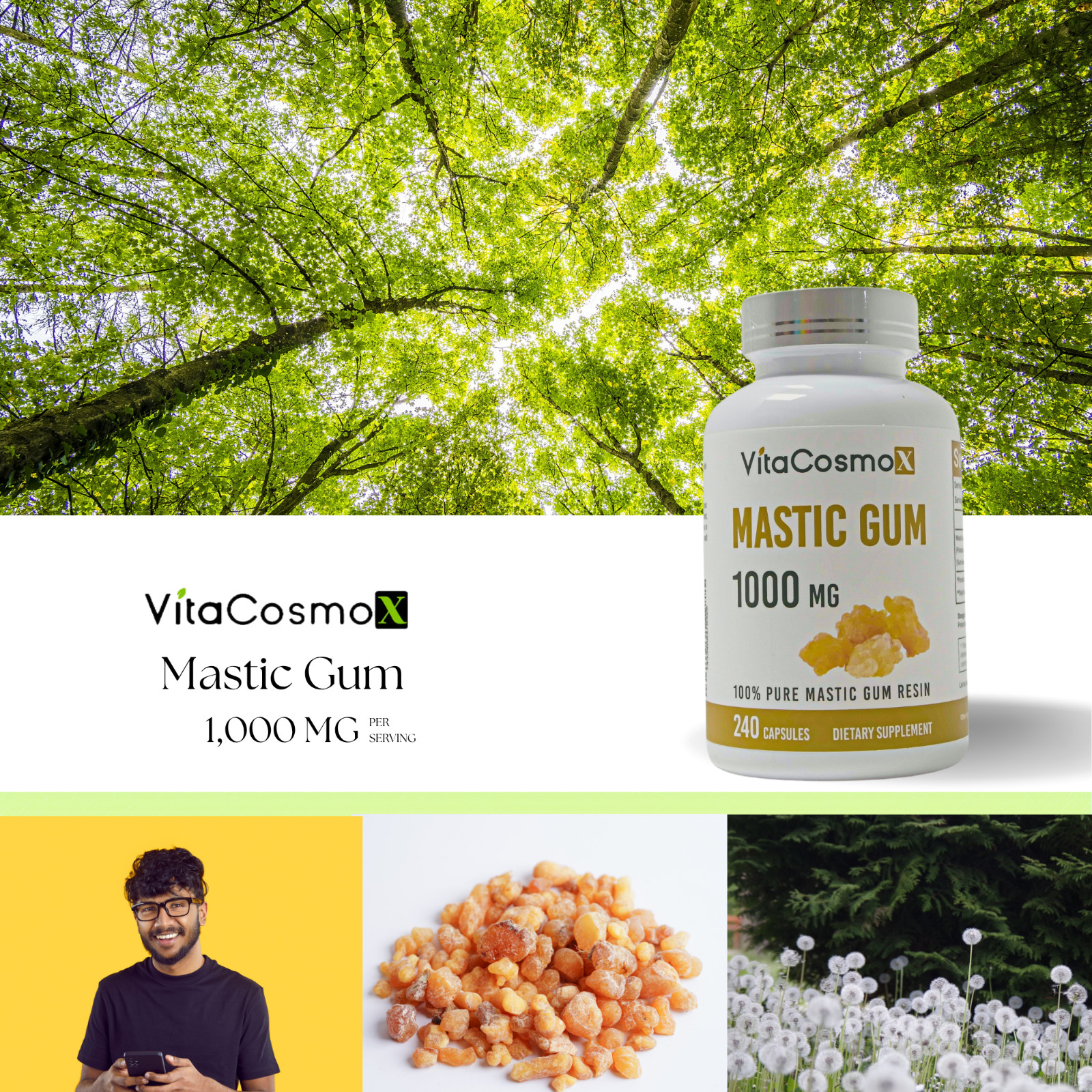2 Pack VitaCosmoX Mastic Gum 1000mg per Serving Support Digestive Func 240 caps
