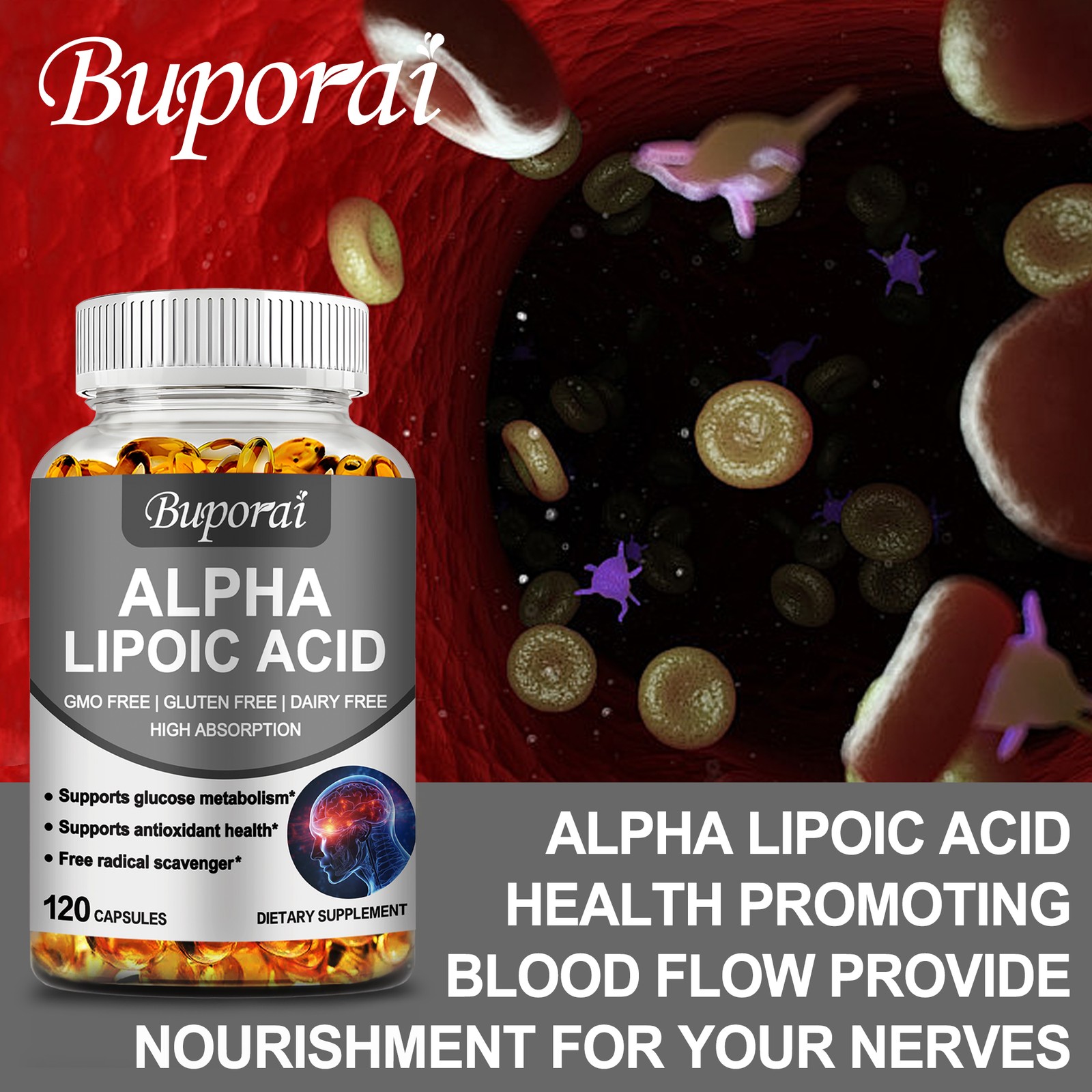 Alpha Lipoic Acid – Support Antioxidant and Sugar Metabolism, Relieve Nerve Pain