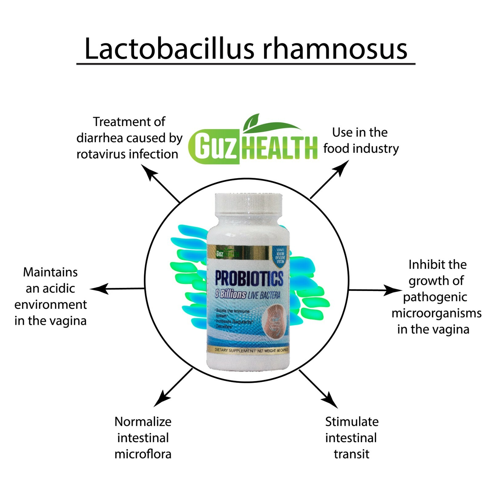PROBIOTICS – 2x 8 Billion LIVE Bacteria 60 Capsules & FREE VITAMIN C 120CAPSULES