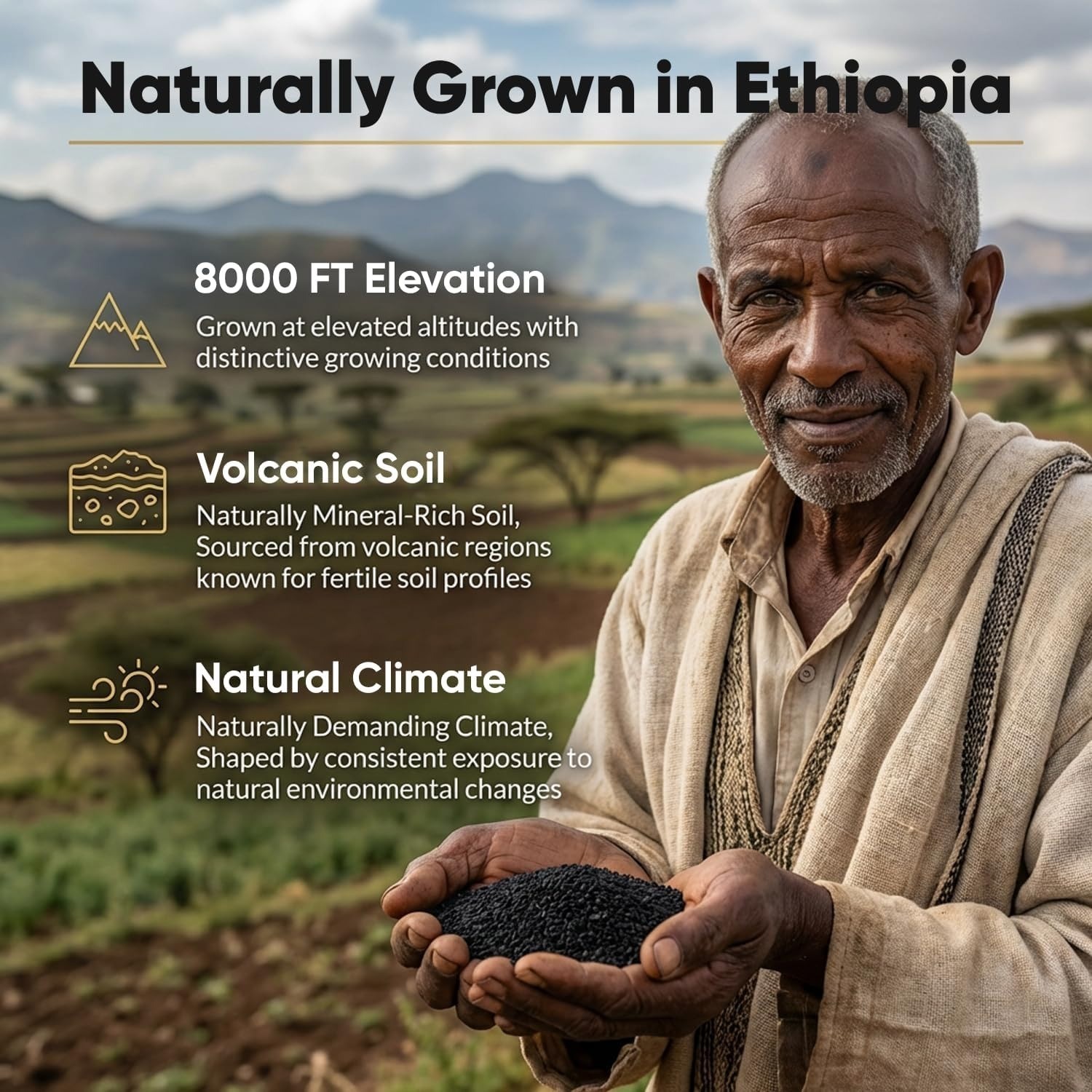 Ethiopian Black Seed Oil Softgels 100% Pure Natural (Pack of 2)