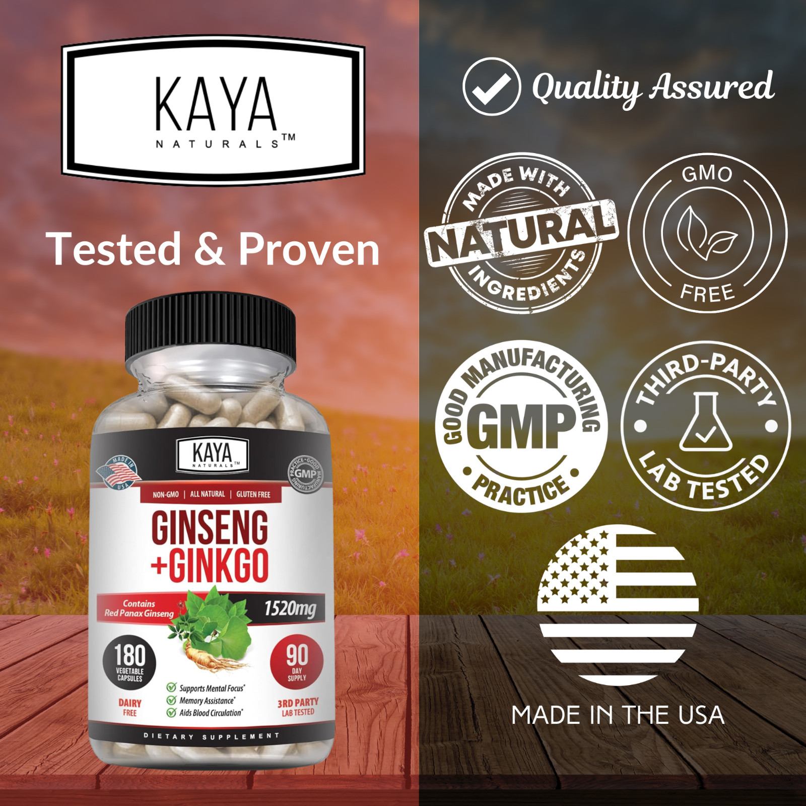 Ginseng + Ginkgo Biloba for Brain Function, Blood Circulation, Anti Inflammation