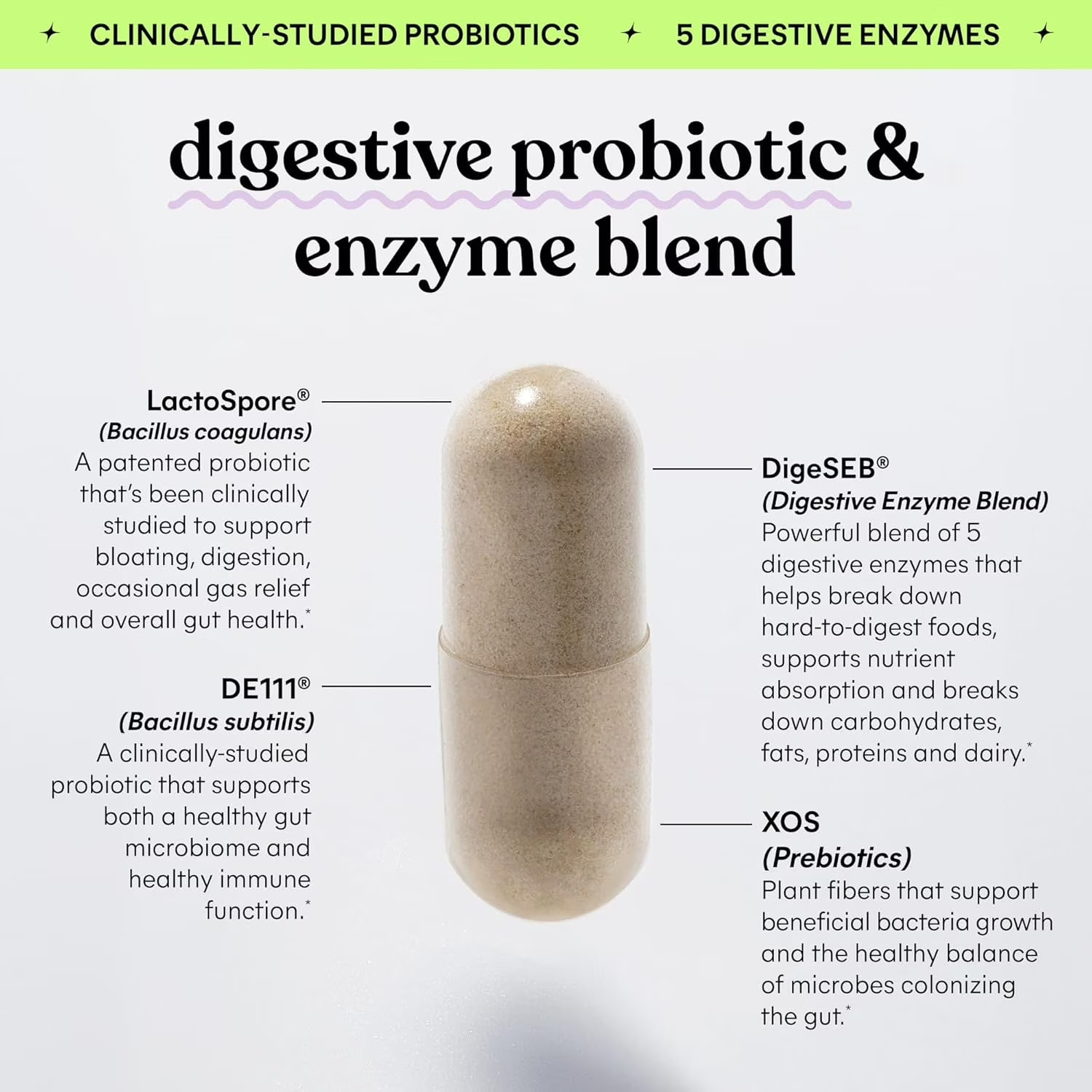 Lemme Debloat Daily Digestive Enzymes & Probiotics Capsules, 60 Count