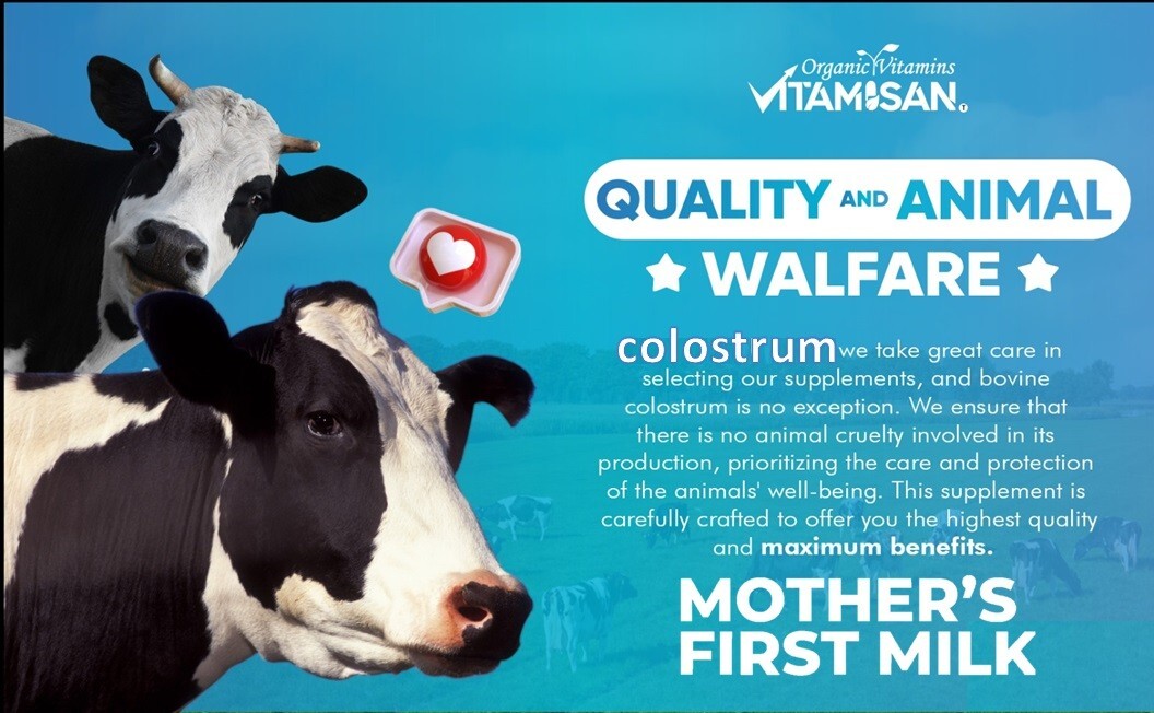 Bovine Colostrum Supplement – 30% IgG Lactoferrin, Immune Support (2 Pack) 240 c