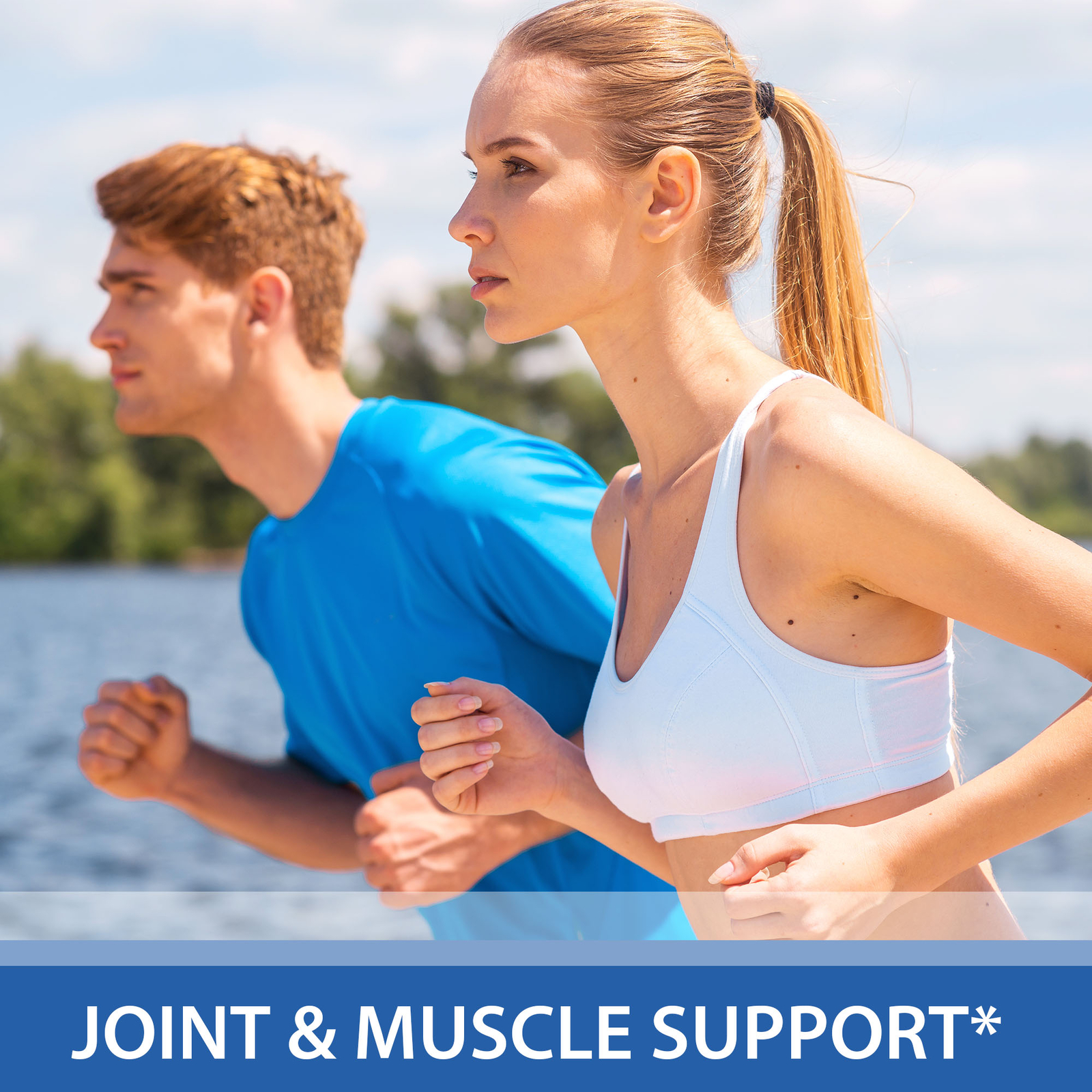 Joint & Muscle Support – Green-Lipped Mussel, Relieve Pain and Inflammation