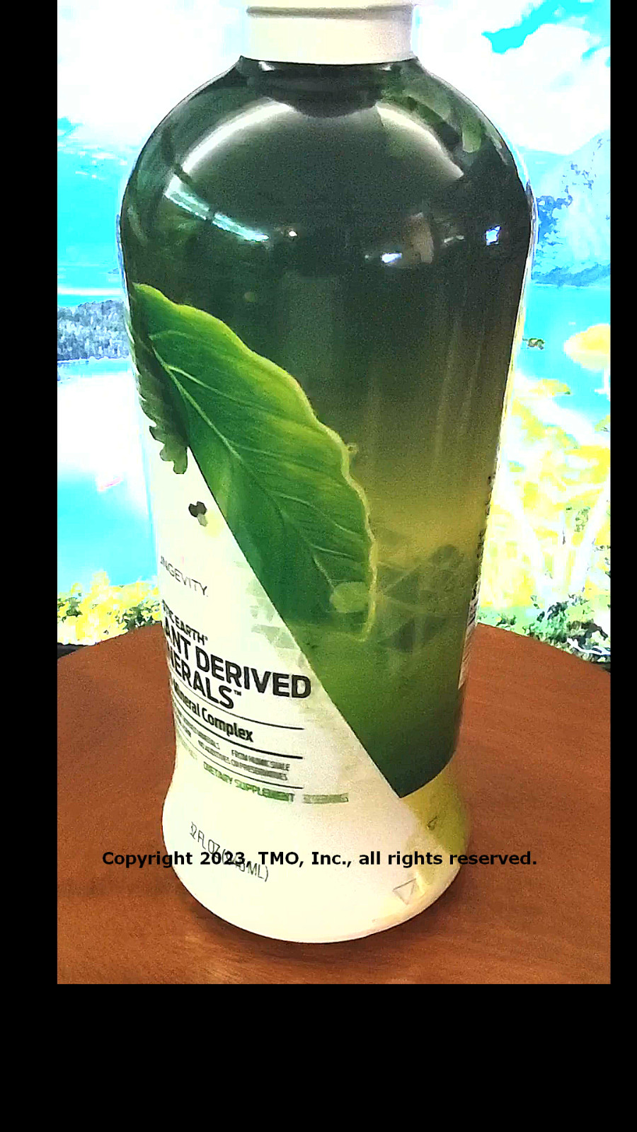 Youngevity Plan-1x Plant Derived Minerals 4 bottles Dr Wallach Free Shipping