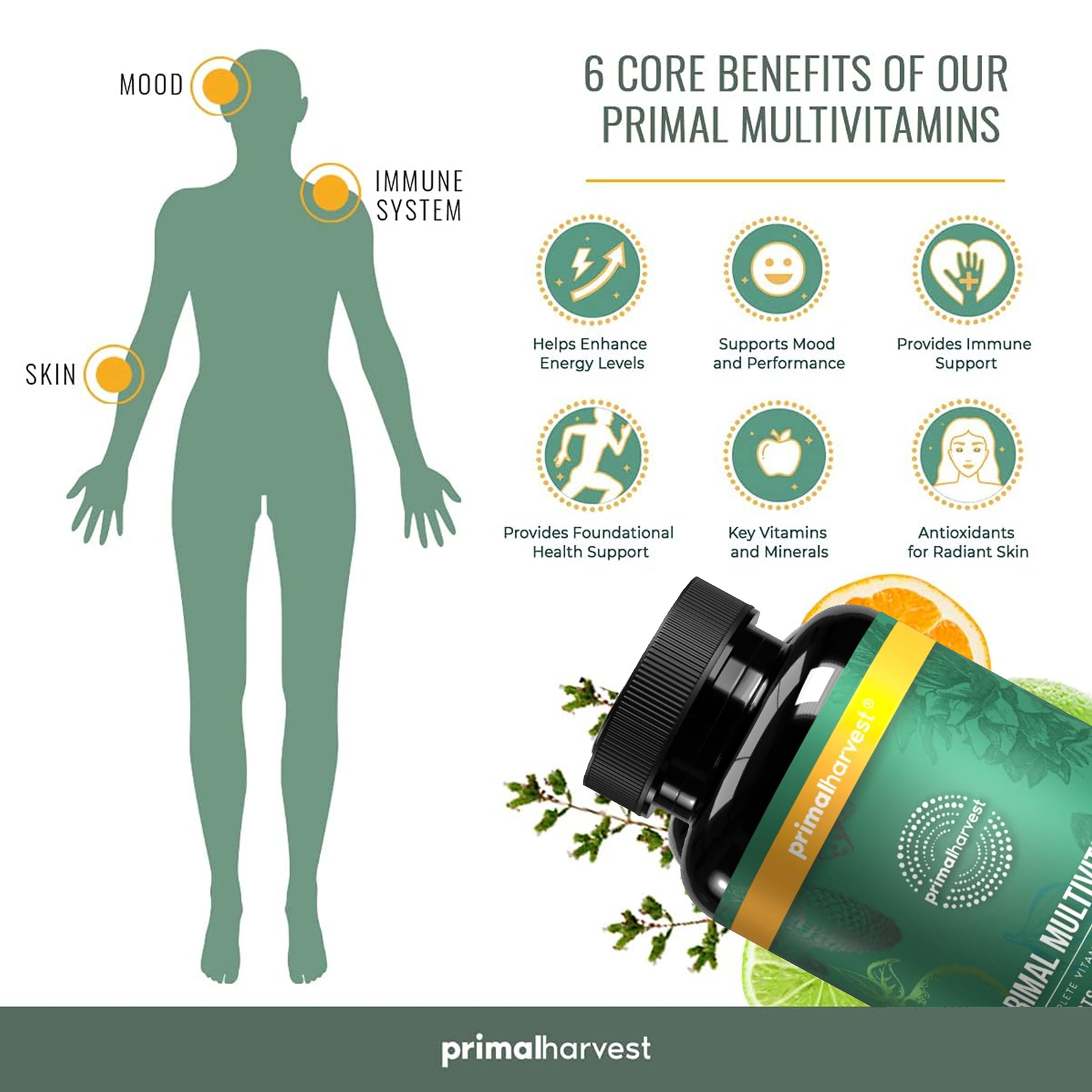 Harvest Primal Primal Multivitamin – Minerals – Energy Immune Brain Heart Health