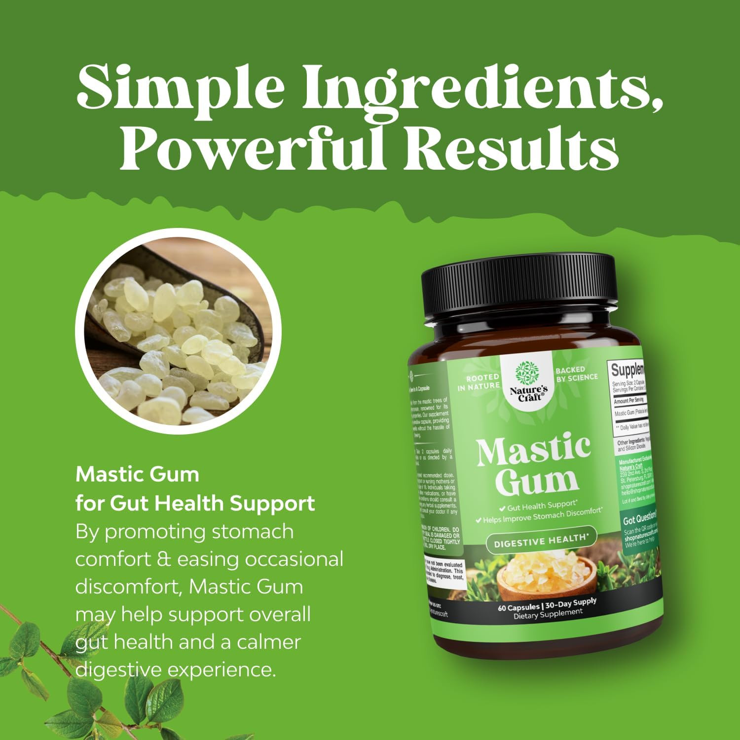 Mastic Gum Capsules – Herbal Digestion Supplement Providing Upset Stomach Relief