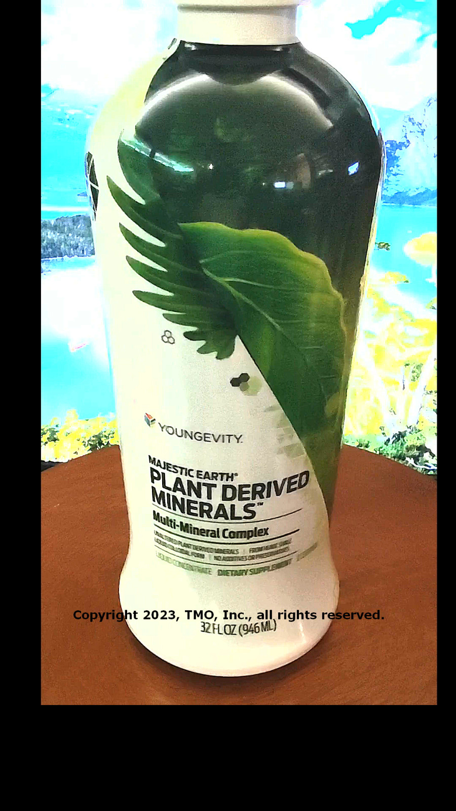Youngevity Plan-1x Plant Derived Minerals 4 bottles Dr Wallach Free Shipping