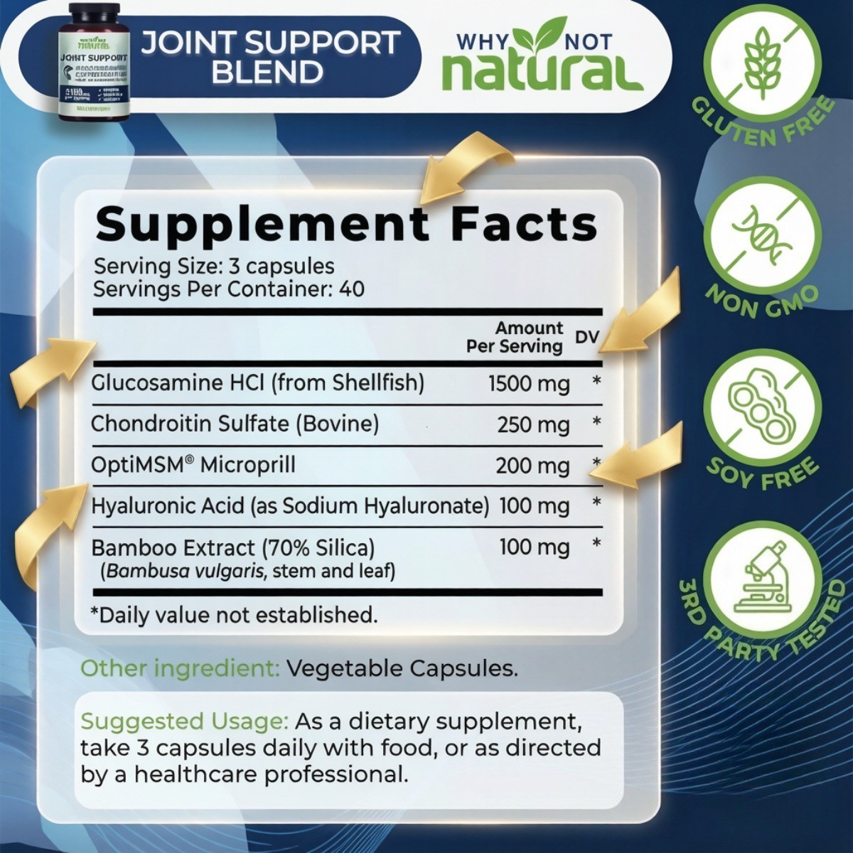 Why Not Natural 5-in-1 Joint Supplement Glucosamine Chondroitin MSM HA 120 Count