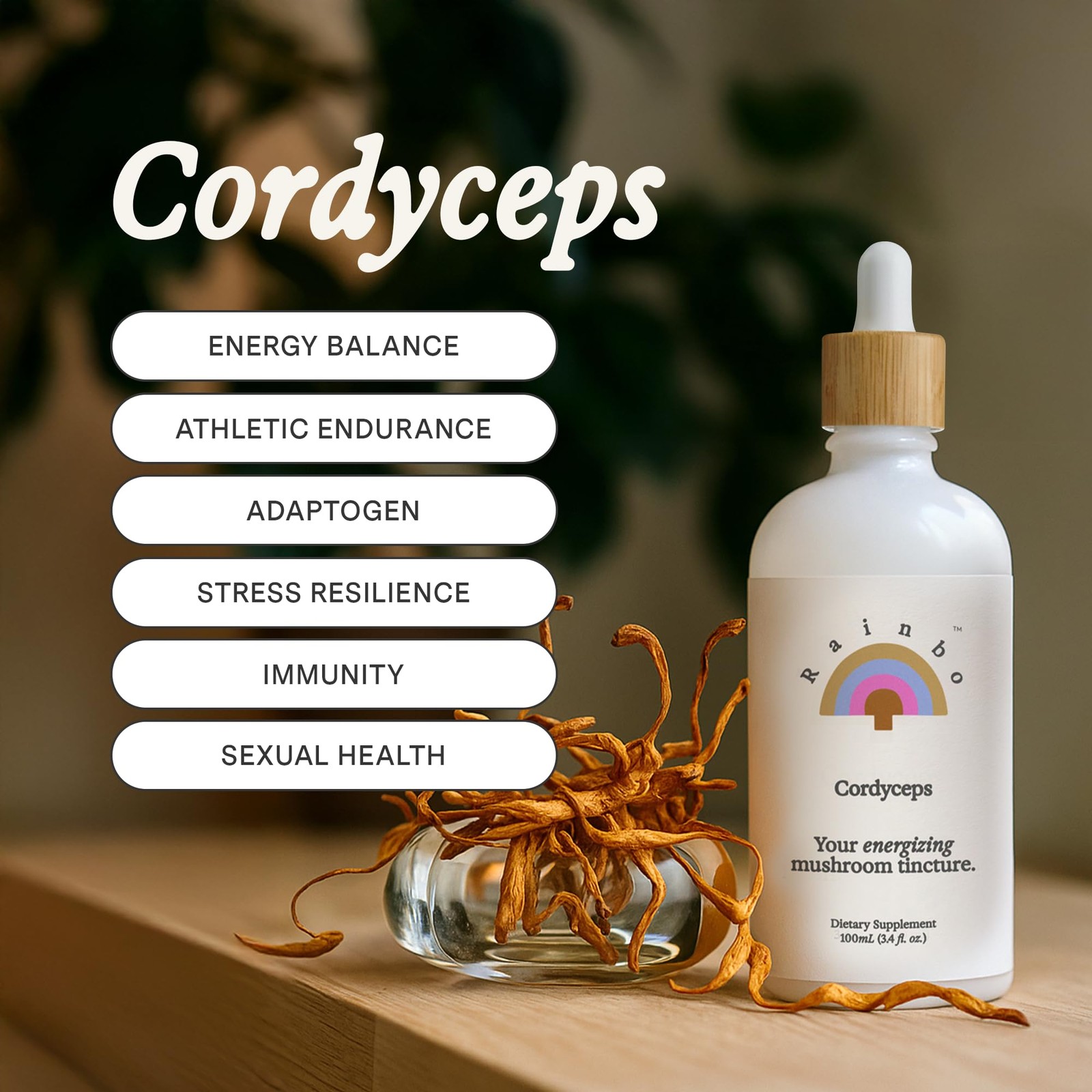 Cordyceps Mushroom Tincture Alcohol Free Dual Extract Vegan Non GMO 3.4 fl oz