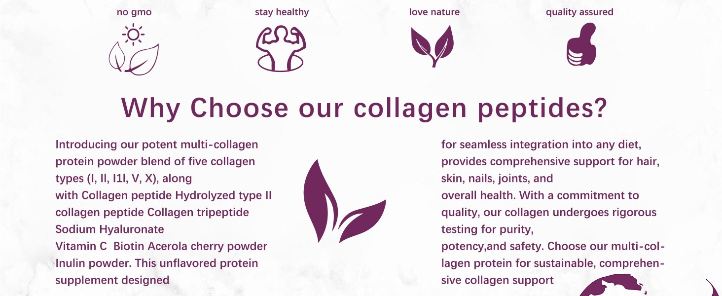 2LB Multi Collagen Peptides Powder–Hydrolyzed Protein with Type I, II, III, V, X