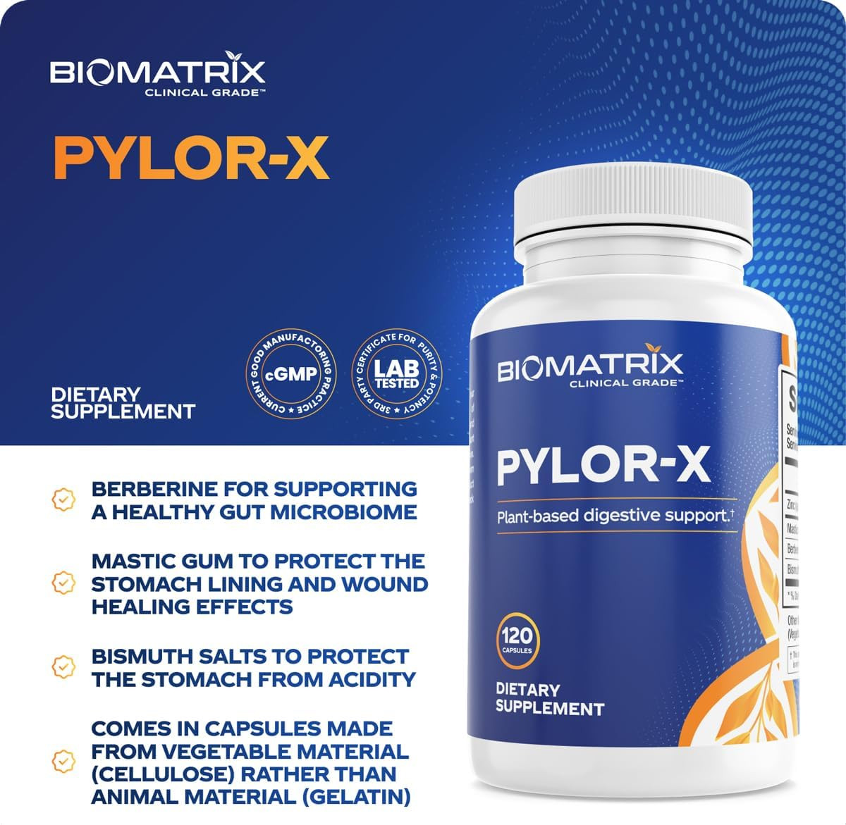 Pylor-X Gut Health Supplement – Mastic Gum, Berberine, Zinc Carnosine & Bismuth