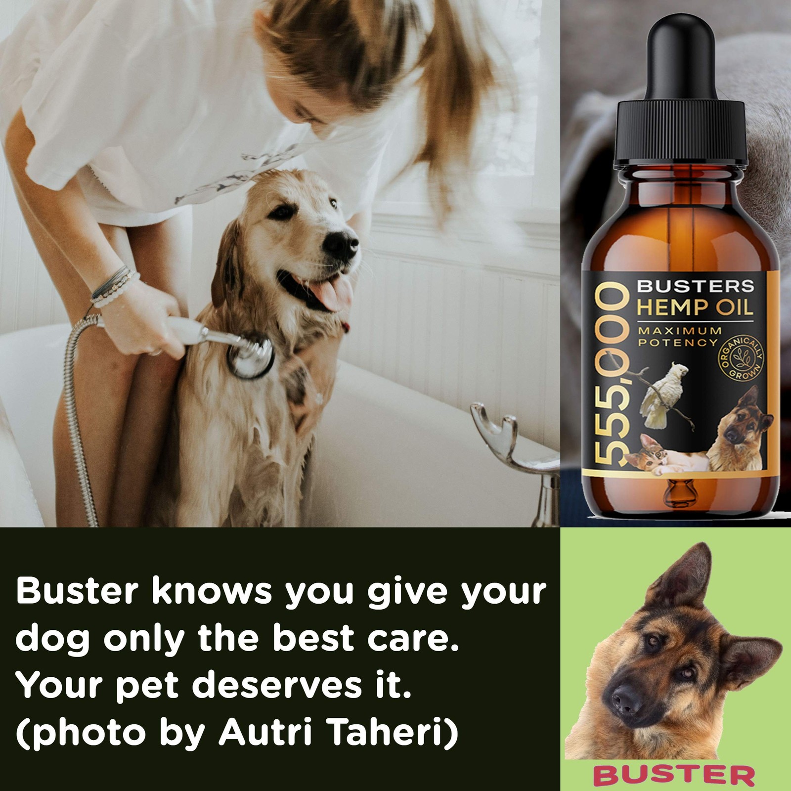Buster’s Hemp Oil for Dogs & Cats, Calm, Joint, Coat, 3Pack 60ml | Cold-press…