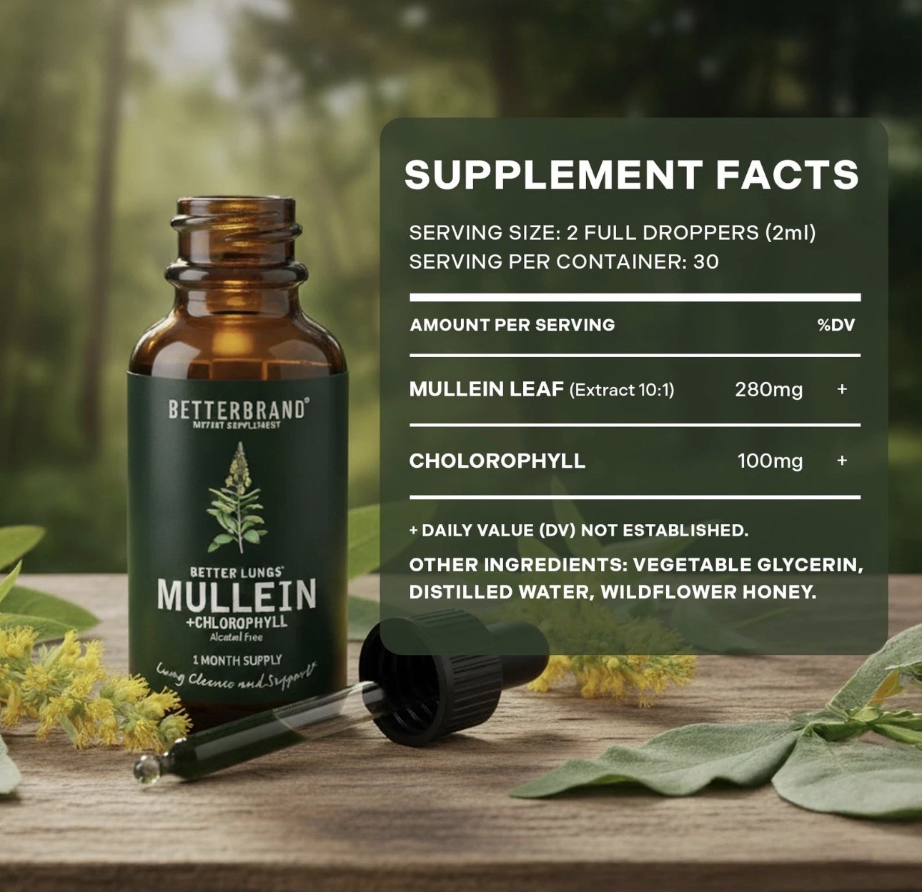 Betterbrand Mullein Drops for Lung Detox – Leaf 2 Fl Oz (Pack of 1)