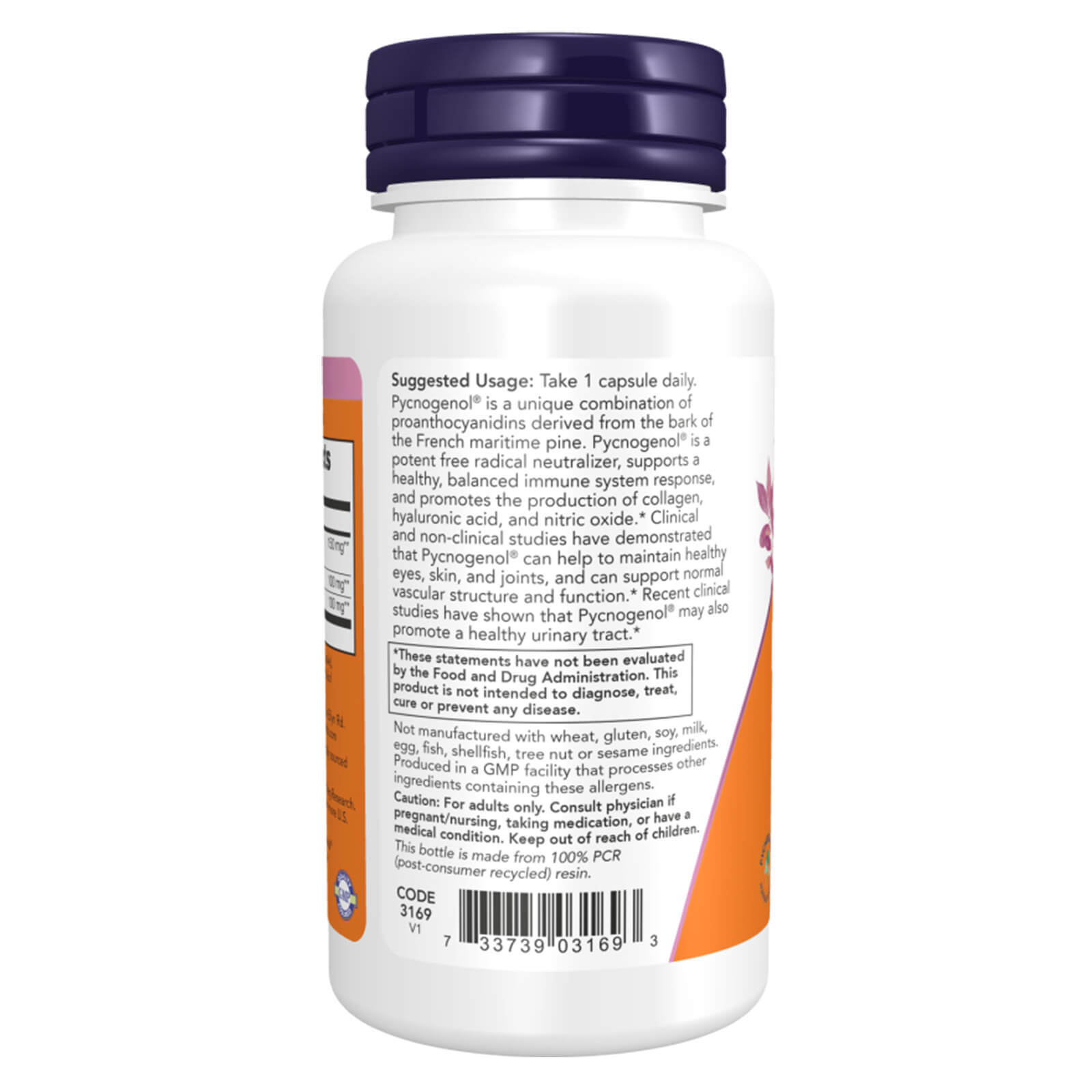 NOW Pycnogenol Extra Strength 150 mg – 60 Veg Capsules, Balanced Immune Response