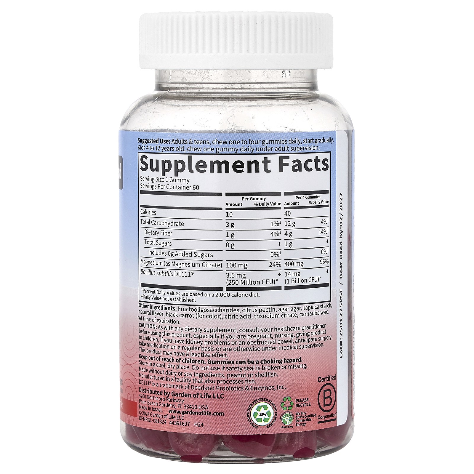 Magnesium with Pre & Probiotics Gummies, Raspberry , 60 Gummies