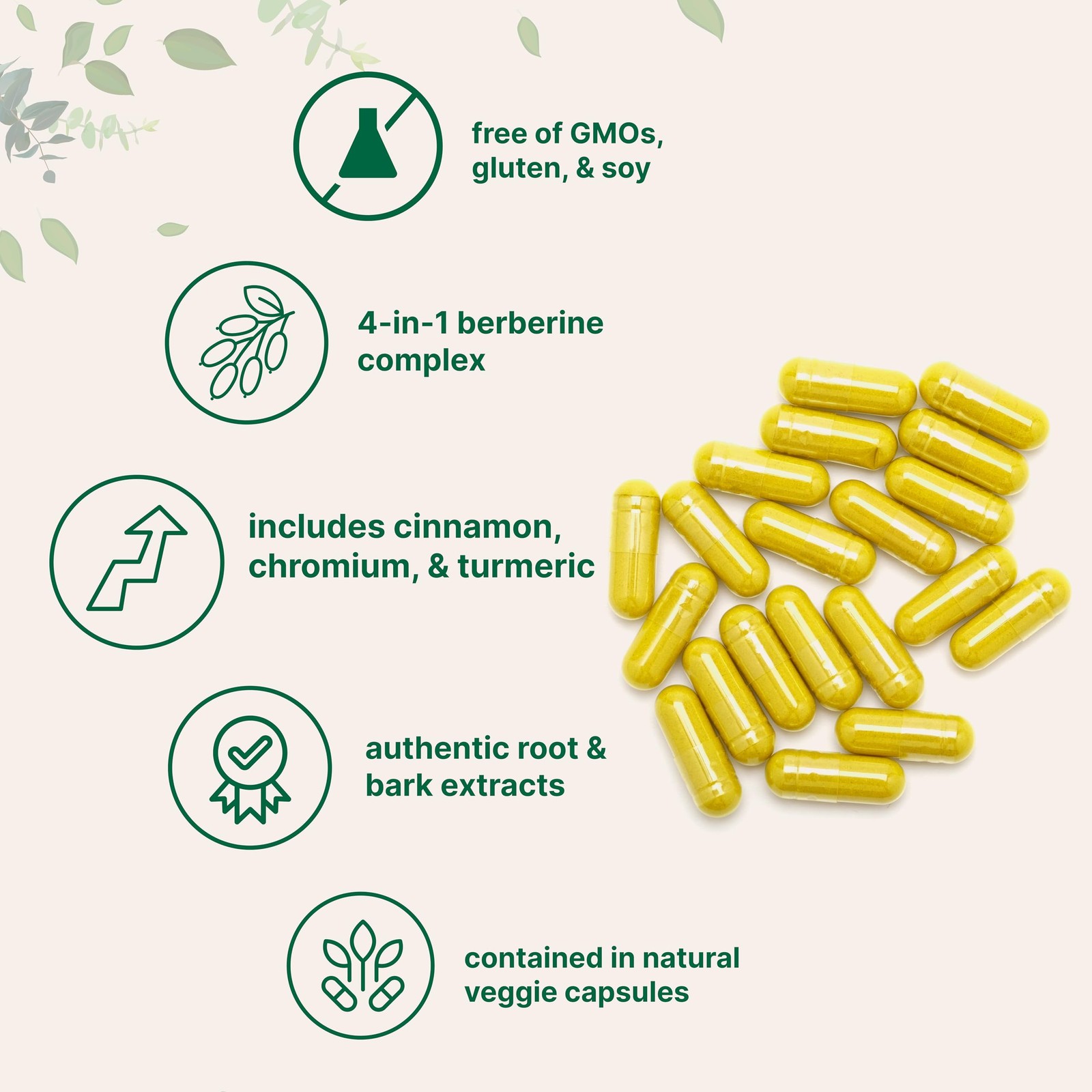 Berberine with Ceylon Cinnamon, 240 Veggie Capsules | High Absorption Berberi…