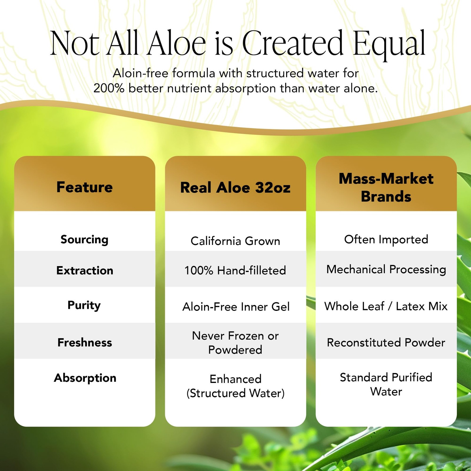 Real Aloe Aloe Vera Gel (32 fl oz) | Hand-Crafted from California Organically…