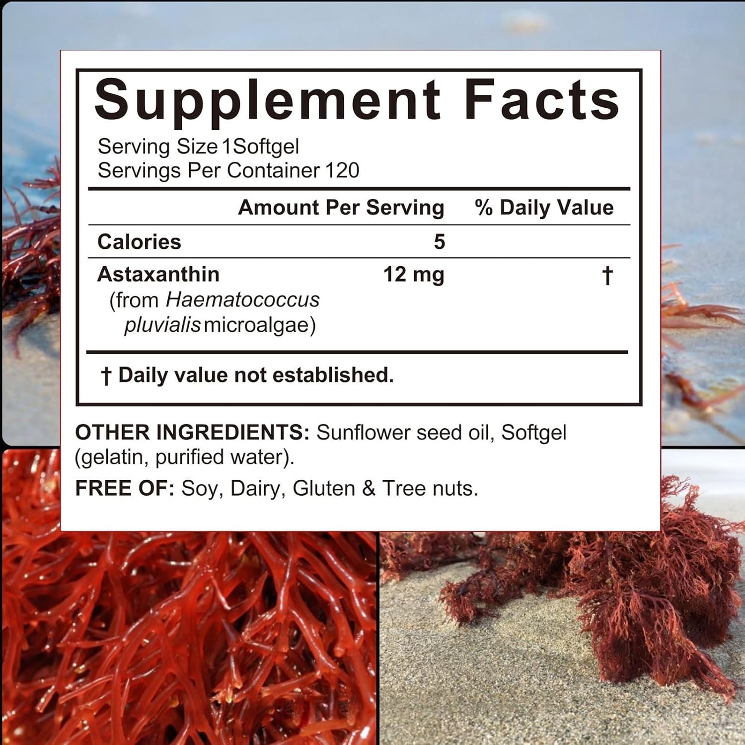 4 pcks Premium Astaxanthin Antioxidant Supplements 12mg, 120 Softgels