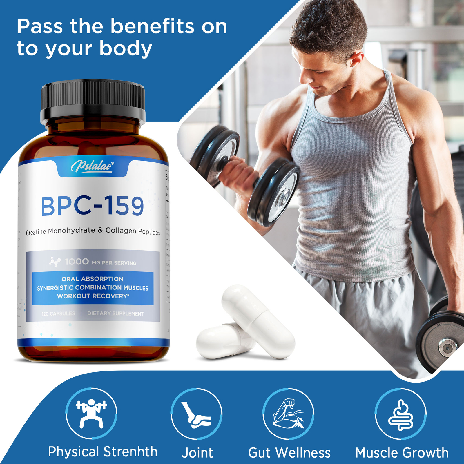 Body PC-159 – Creatine Monohydrate,Bone and Joint Support,Muscle and Gut Health
