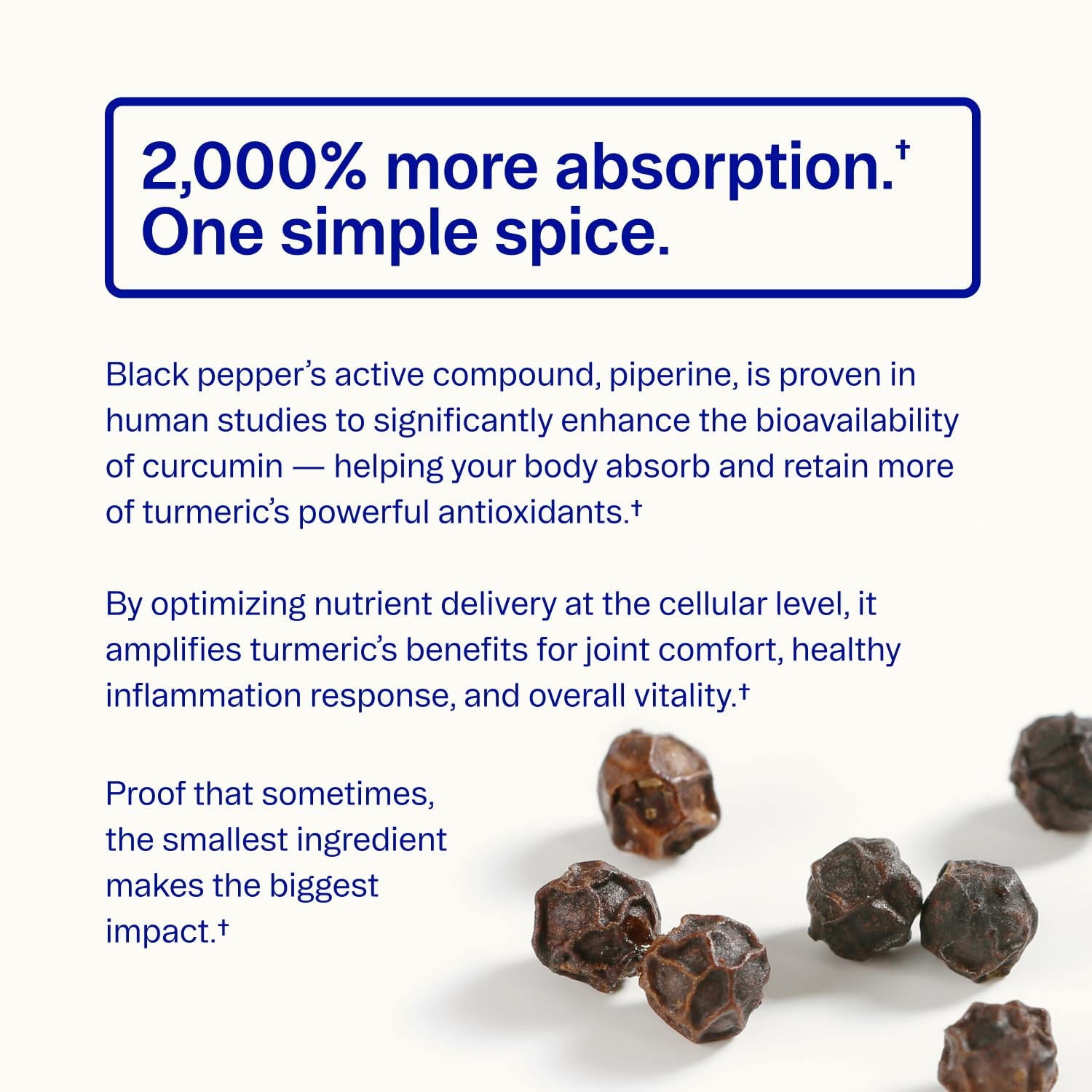 Ora Organic Turmeric Curcumin with Piperine Pure Extracts for Joint Stress a…
