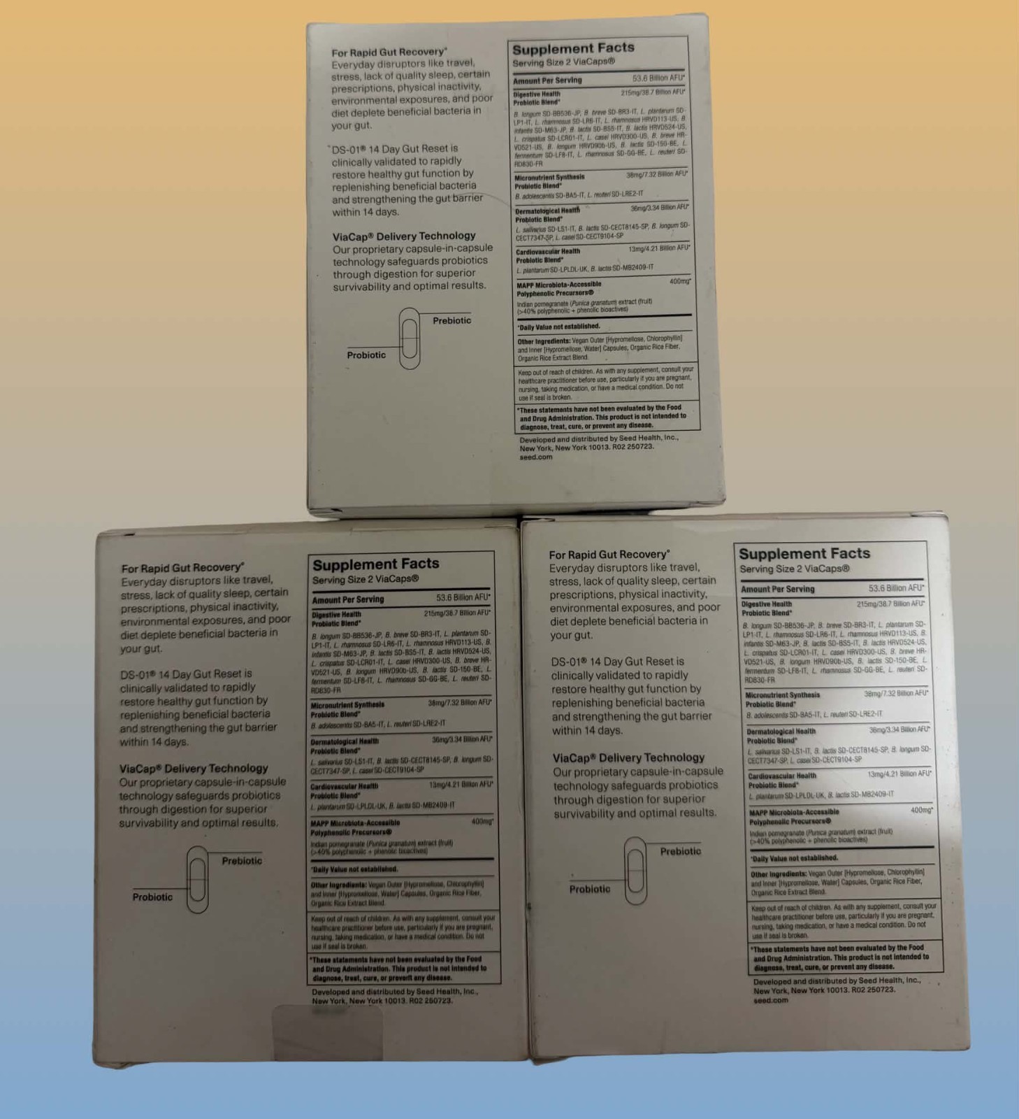 Seed DS-01 Rapid Gut Recovery 14 Day Gut Reset 3 pack EXP 09/2027