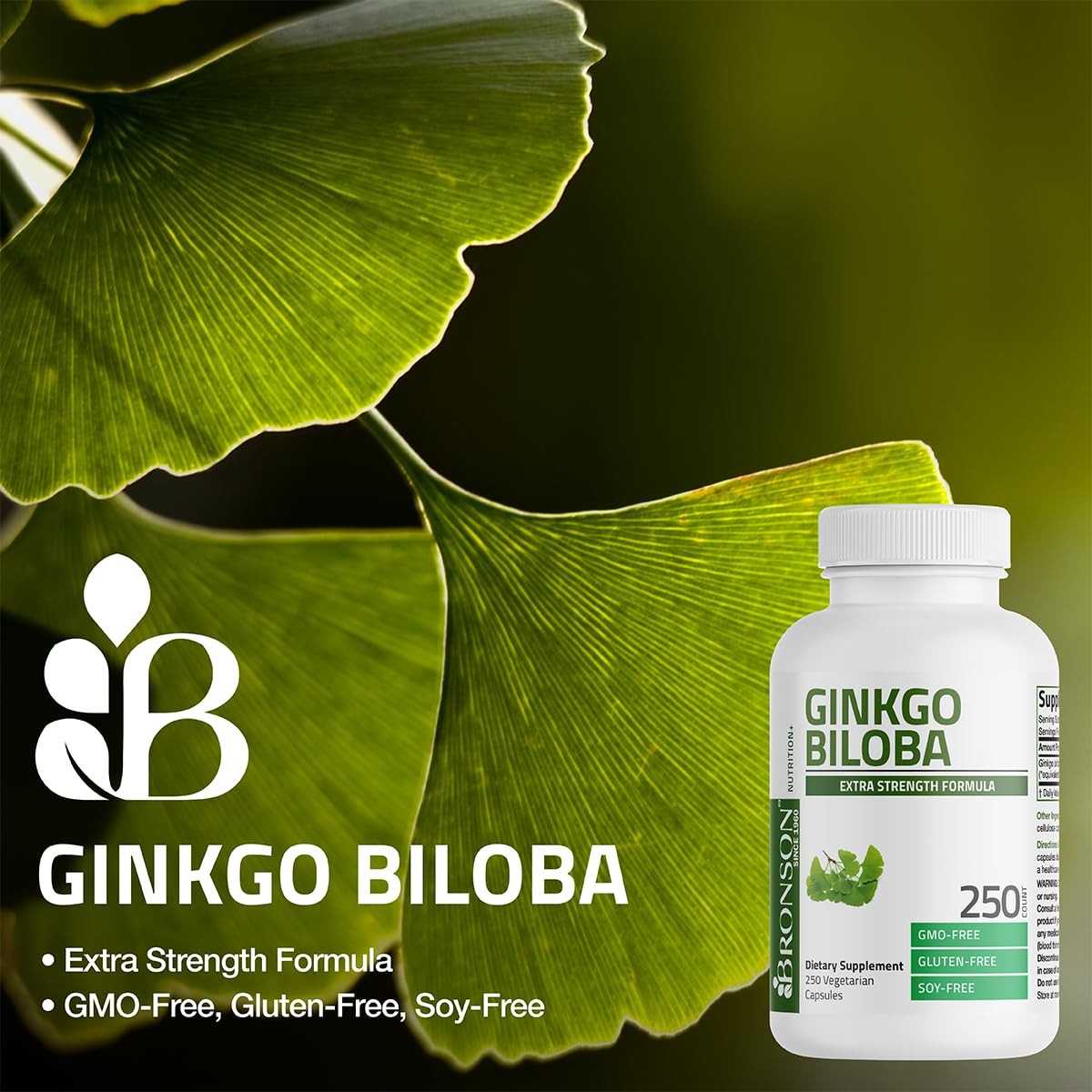 Ginkgo Biloba Extra Strength Brain & Memory Support 120 Capsules
