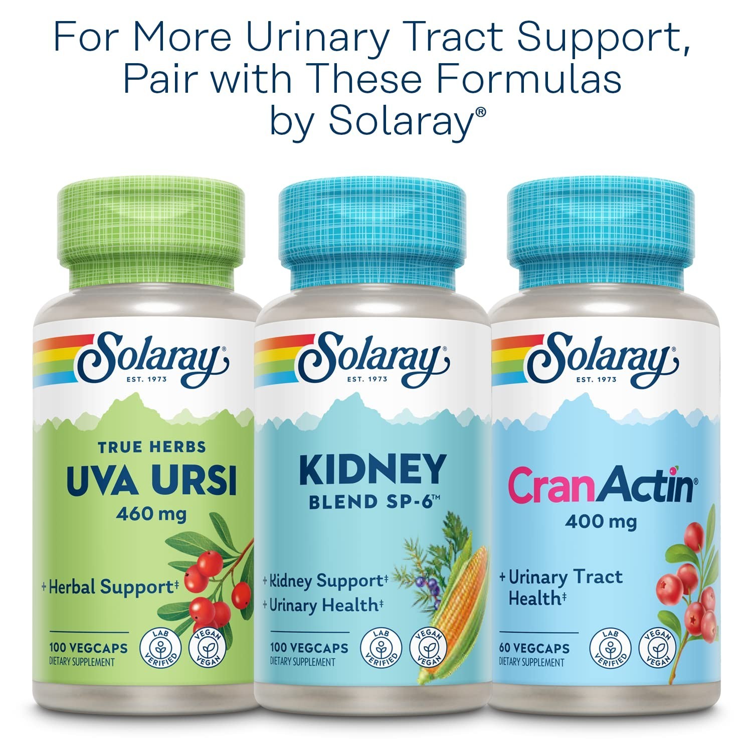 Nettle Leaf 450mg 180 VegCaps | Kidney, Urinary, Prostate Support – Lab Verified