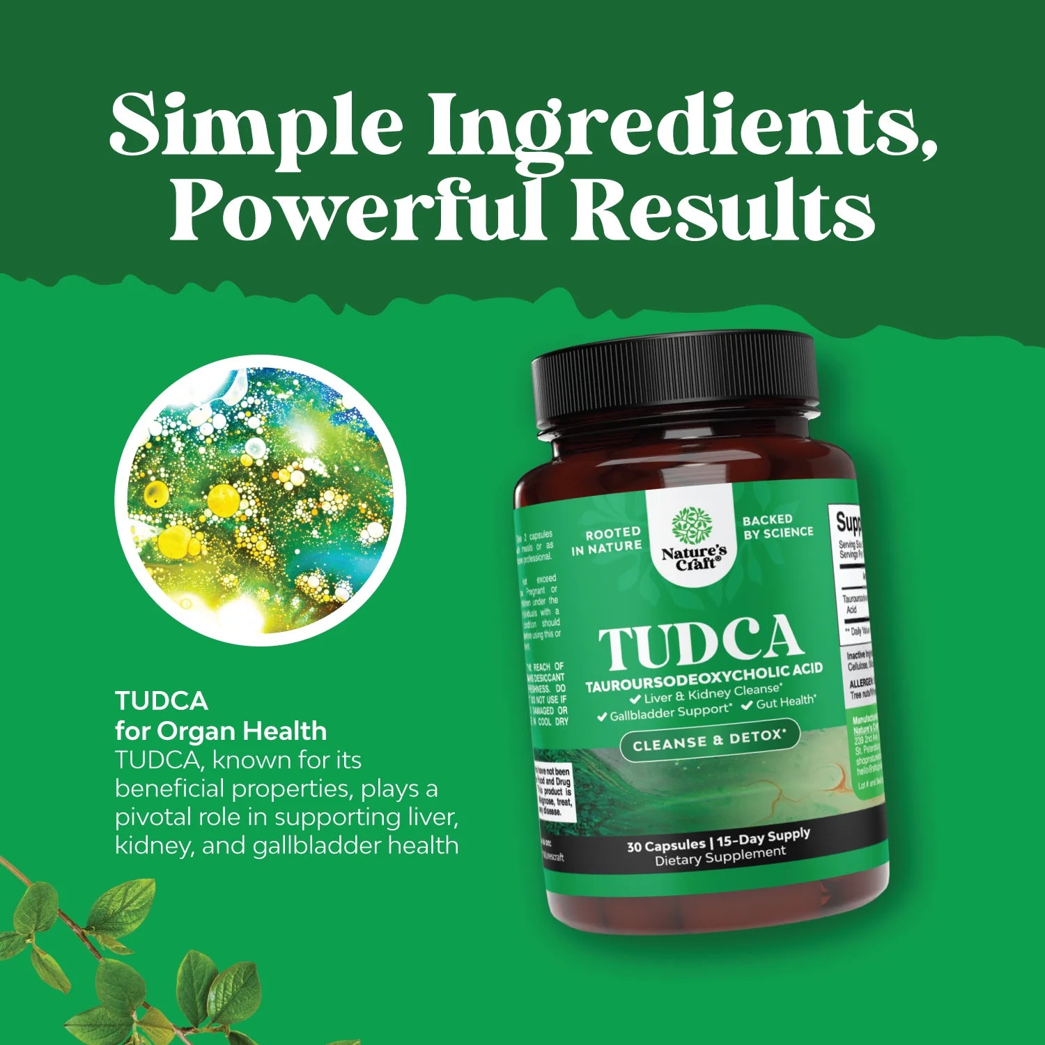 Natures Craft 500mg TUDCA Bile Salt Supplement for Liver and Kidney Support