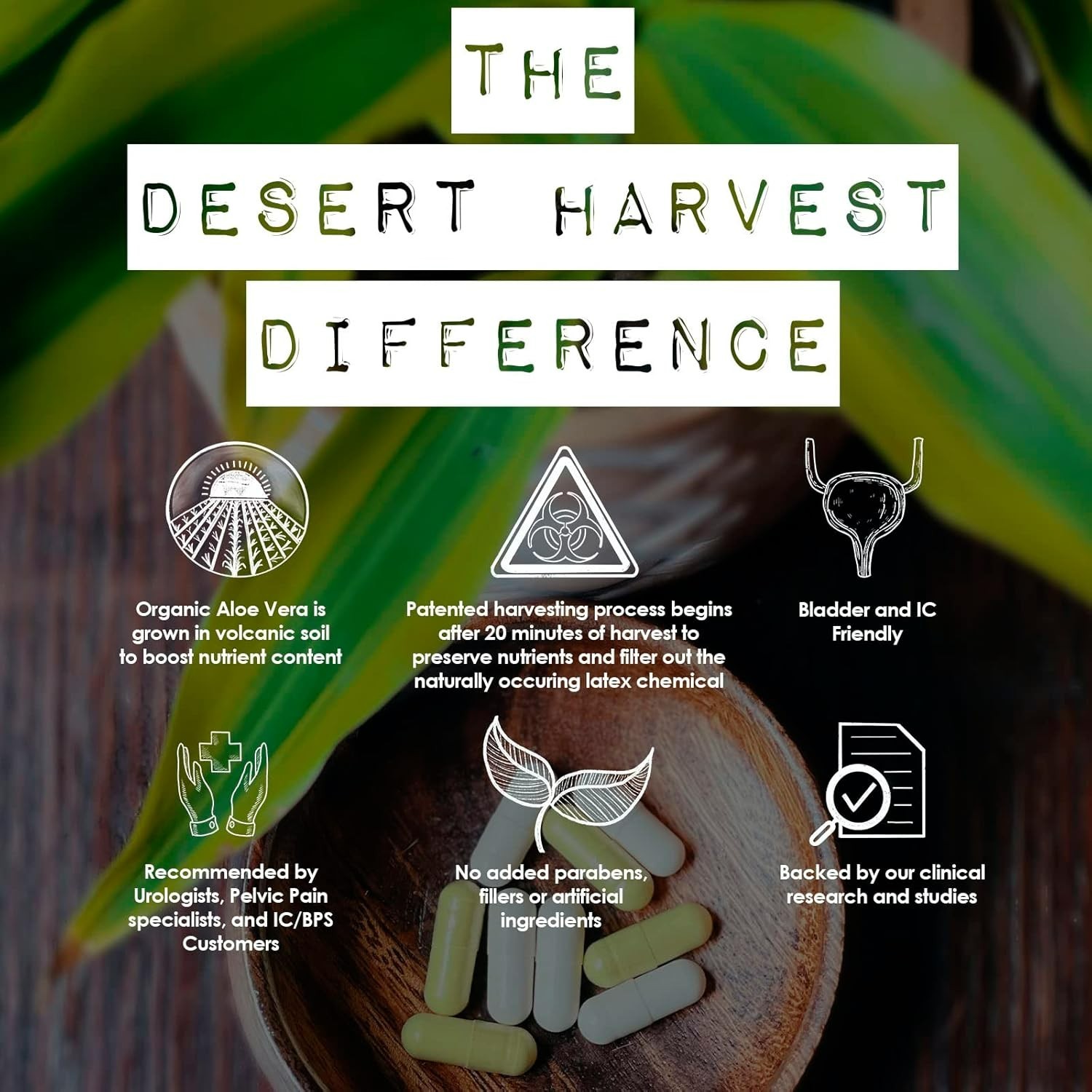 Desert Harvest Super-Strength Aloe Vera, Freeze Dried Aloe Vera – 180 Capsules