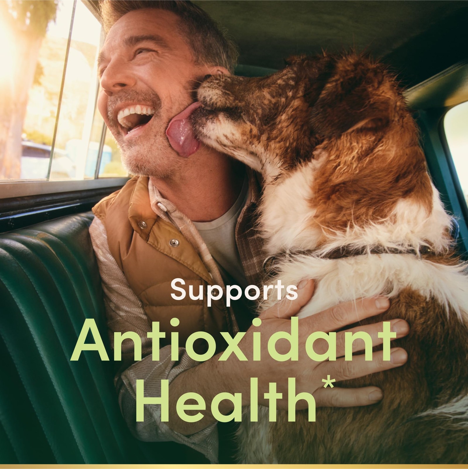 Vitamin E 1000 IU Softgels, Supports Antioxidant Health & Immune System 60