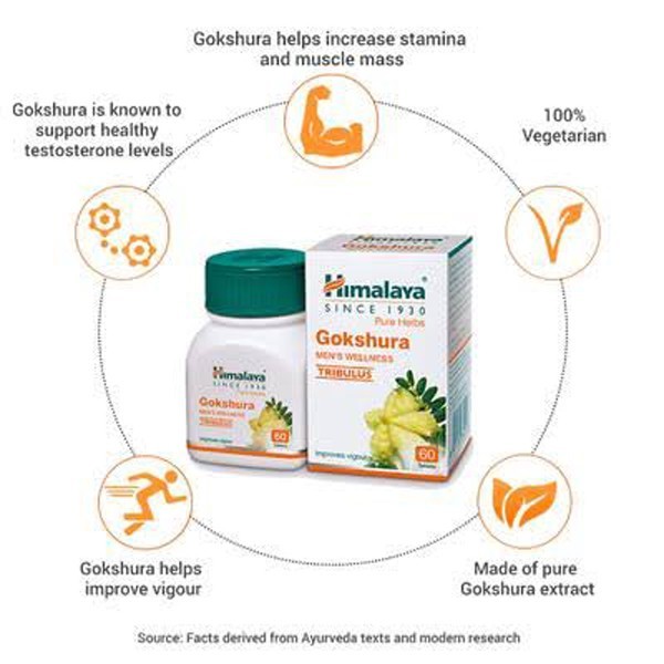 2 BOX HIMALAYA GOKSHURA MEN’S WELLNESS IMPROVES VIGOUR | TRIBULUS | 60 TABLETS