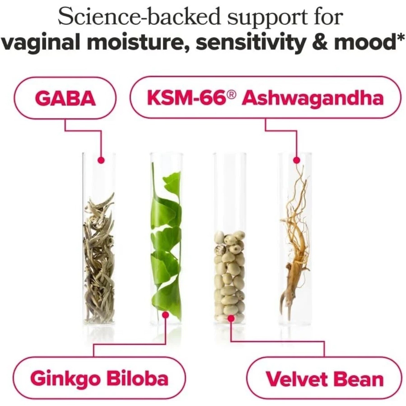 URO Health Bundle: Vaginal Moisture & Mood 60ct + Vaginal Probiotics 60ct