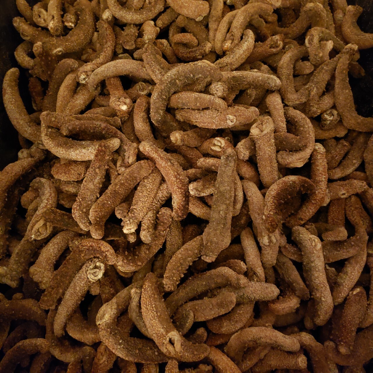 1LB Red sea cucumber natural sun dried from Alaska Grade AAA 阿拉斯加红参