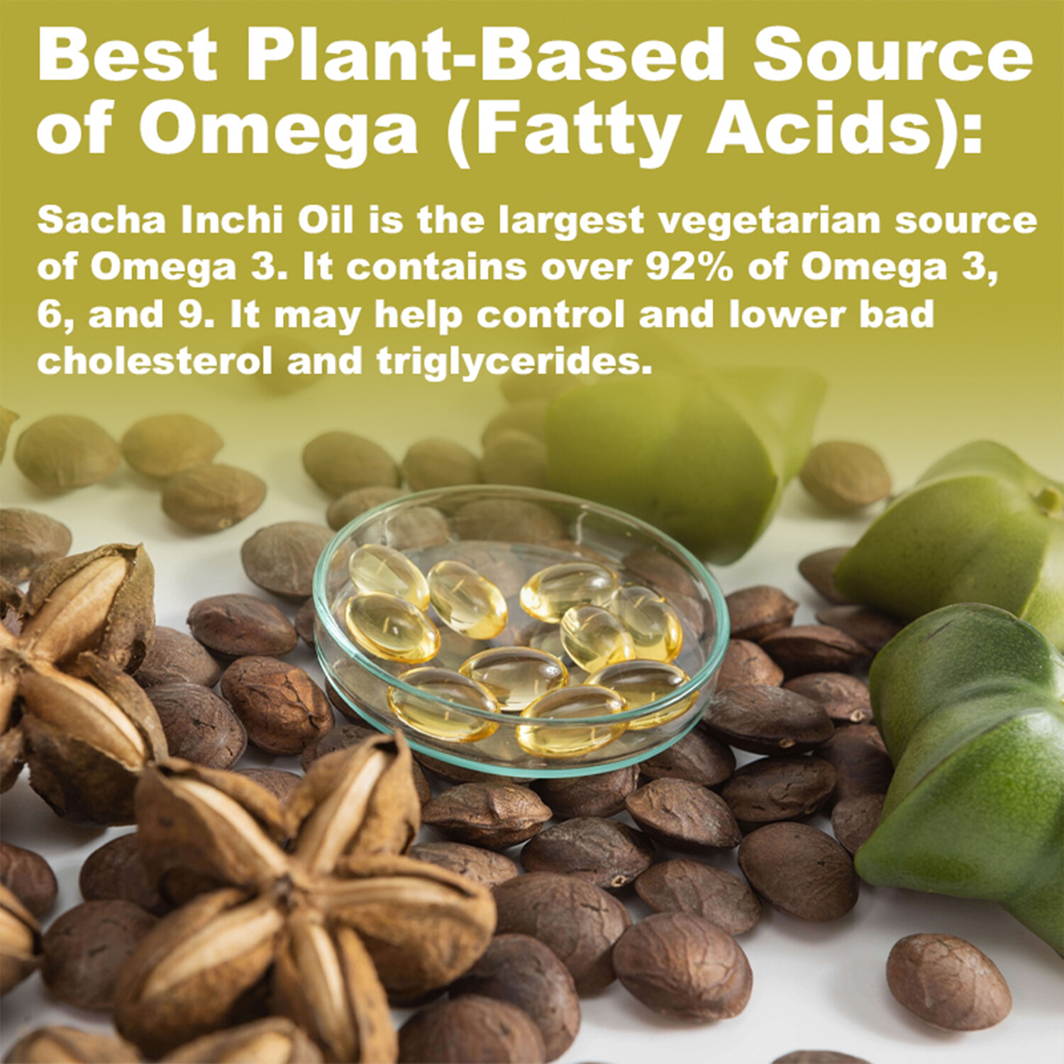 120pcs Sacha Inchi Oil 600mg – for Skin,Hair Health, Antioxidant, Immune Support