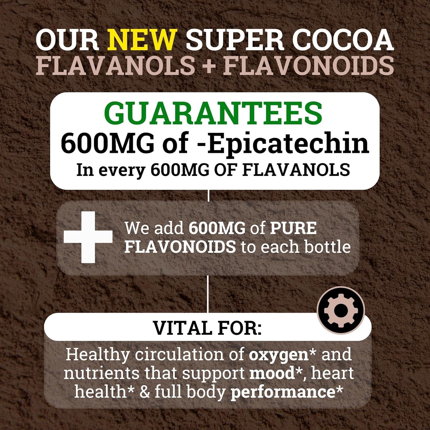 2 PACK! Black Forest High Flavanol Cocoa Powder and Flavonoid Supplements 1200mg