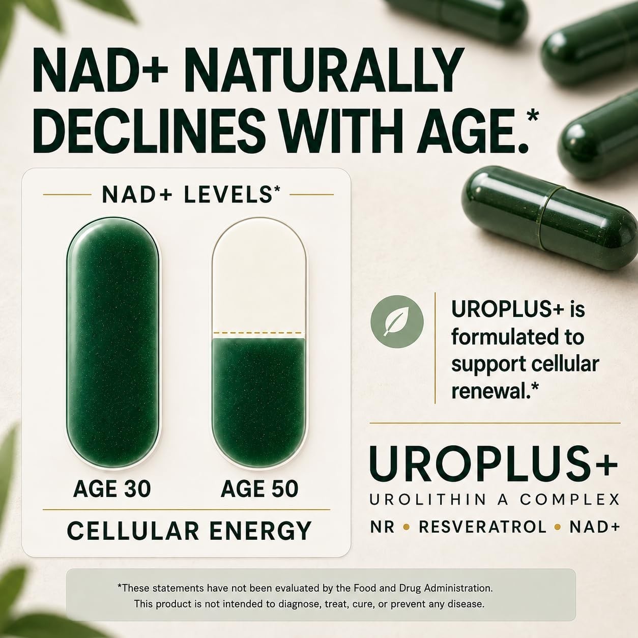 Liposomal Urolithin A 1250mg Complex | NAD+, NMD, Resveratrol | Energy, Cellular