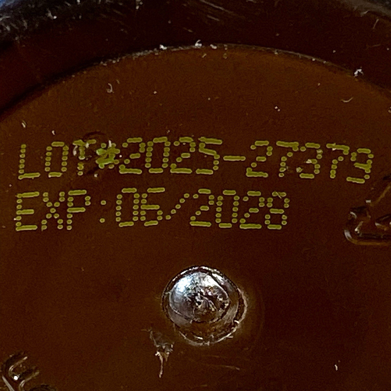 ForestLeaf ~ Grass Fed Beef Organs Supplement 3000 mg ~ 180 Caps ~ Exp 06/2028