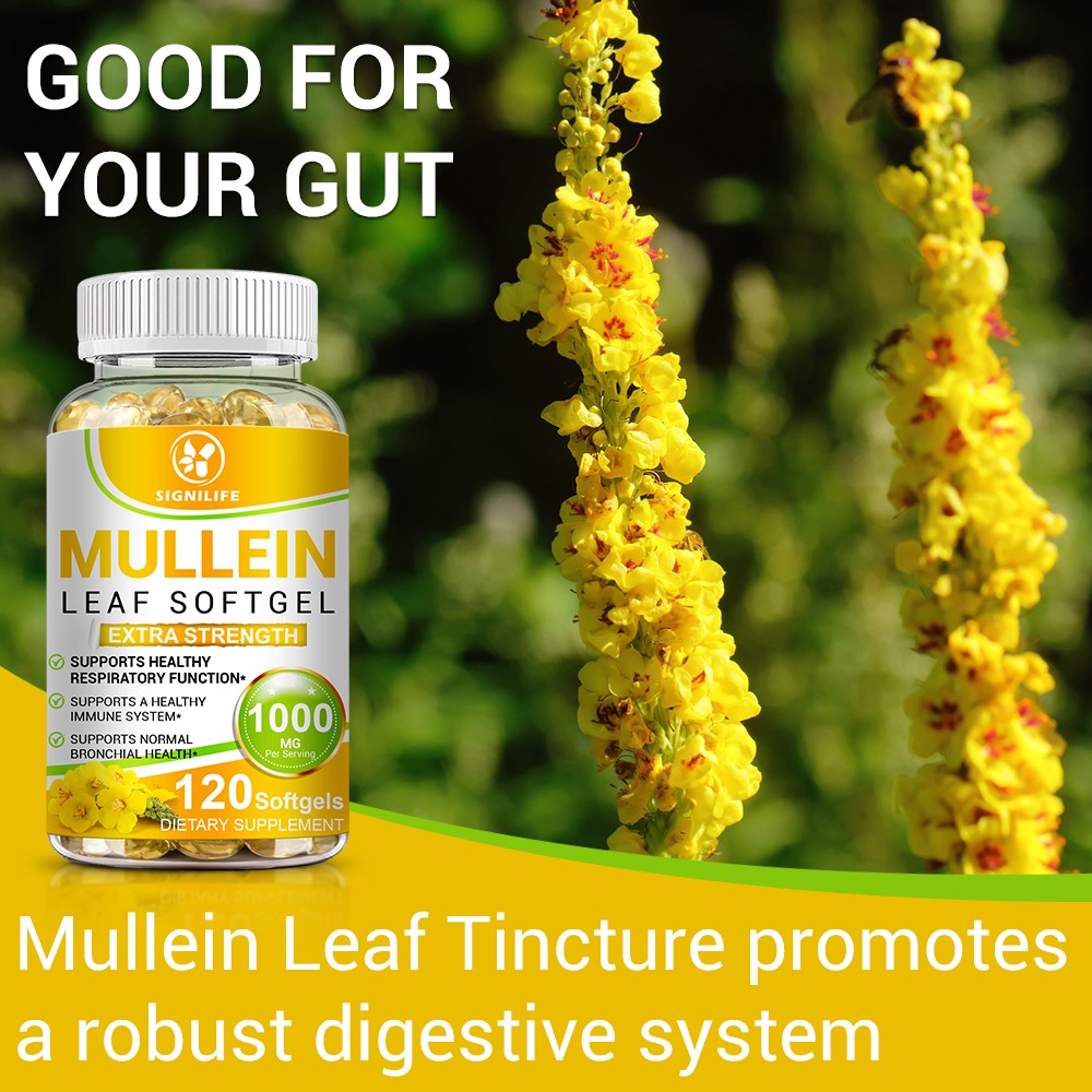 Mullein Leaf Capsules 1000mg – Support Lung Cleanse Respiratory Health Vegan